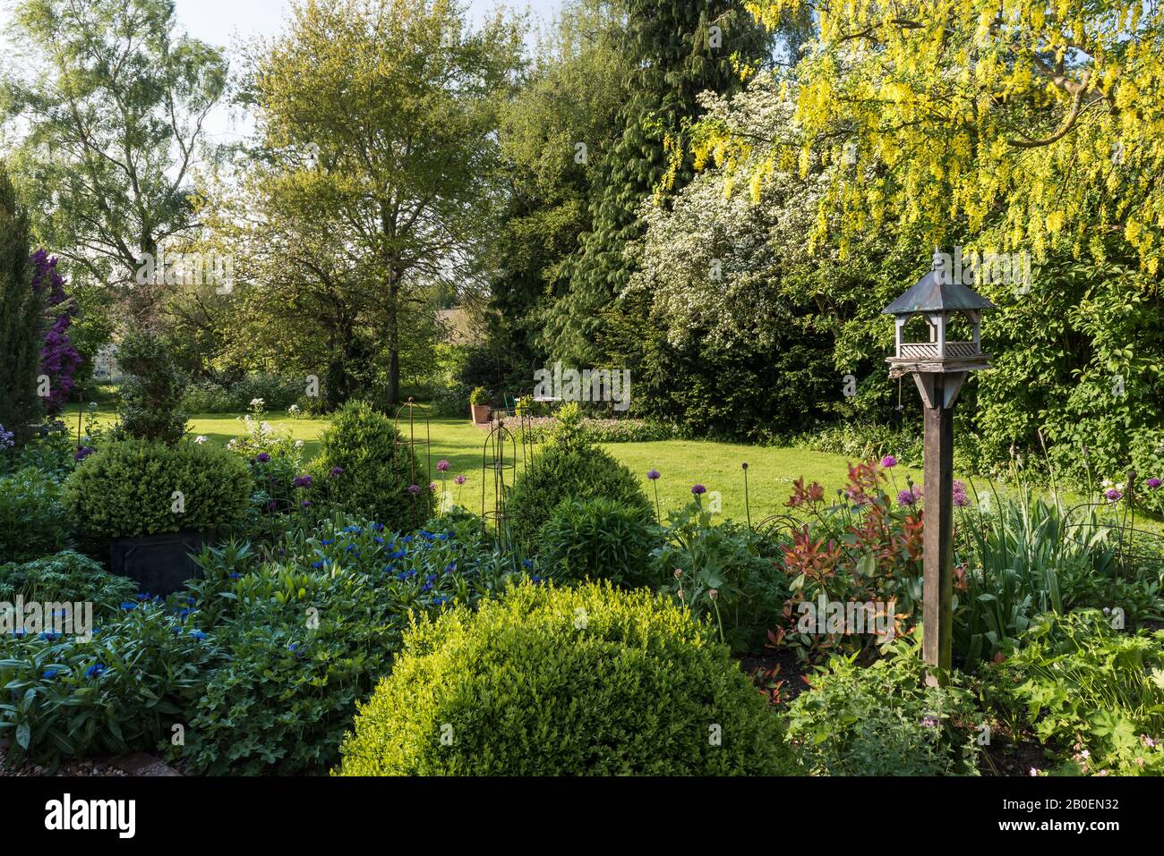 Bird feeder in sunlit Suffolk garden Stock Photo