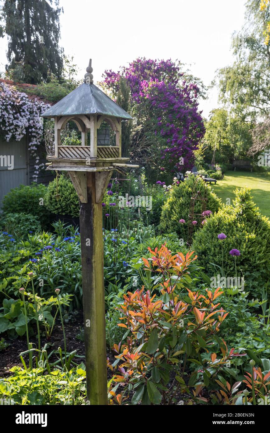 Bird feeder in sunlit Suffolk garden Stock Photo