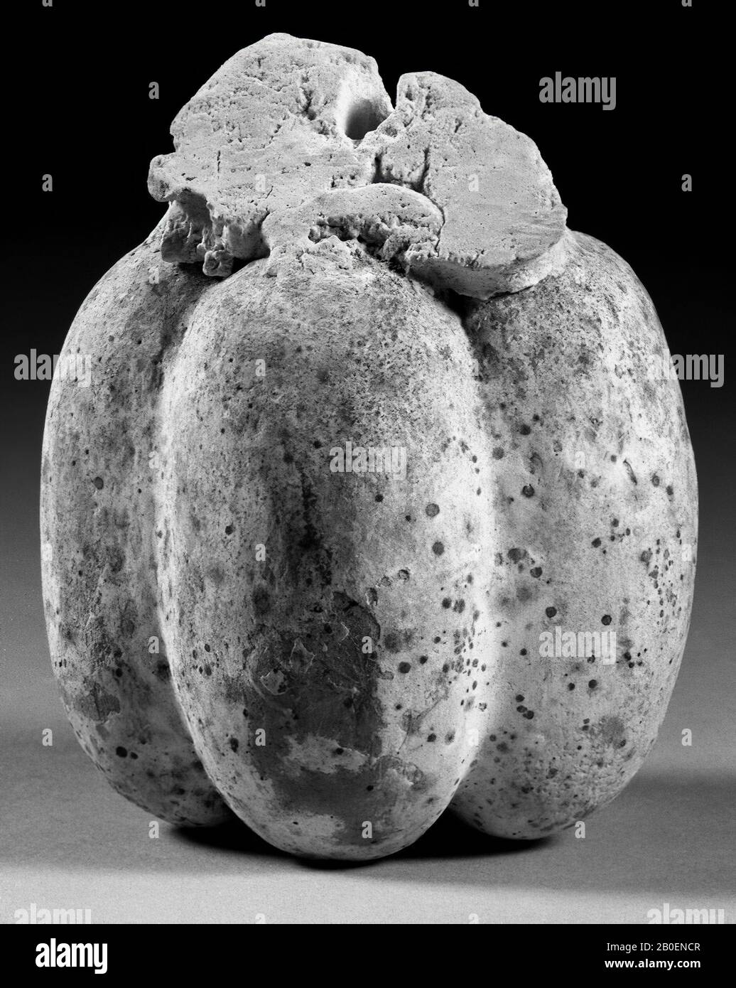 Pomegranate, consists of 5 thick, rounded lobes and is powerful in plastic. Must be on the handles or on the female heads of the urn K 1980 Stock Photo