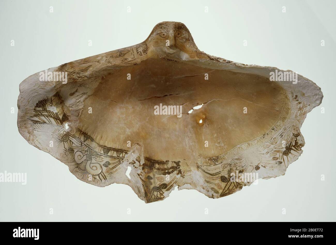 Ancient Near East, ceremonial object, decorative bowl, organic, shell, H 16.7 cm, W 27.8 cm, Iron Age II 700-600 BC, Turkey Stock Photo