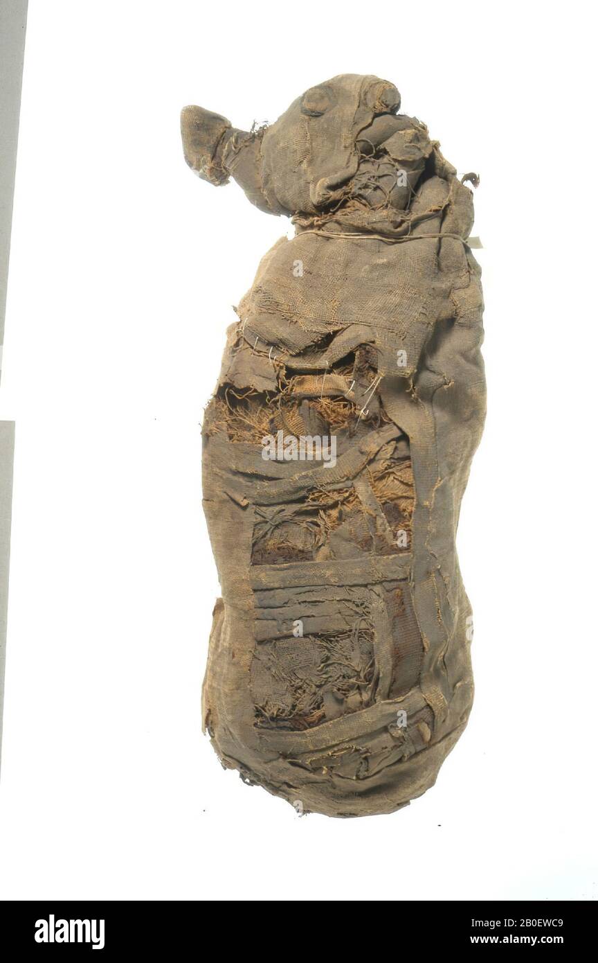 cat, Cat mummy with cylindrical body and naturalistic head. The animal's body is wrapped in a rectangular sheet or medium-fine linen (warp-faced tabby weave, about 11 x 22 threads Stock Photo