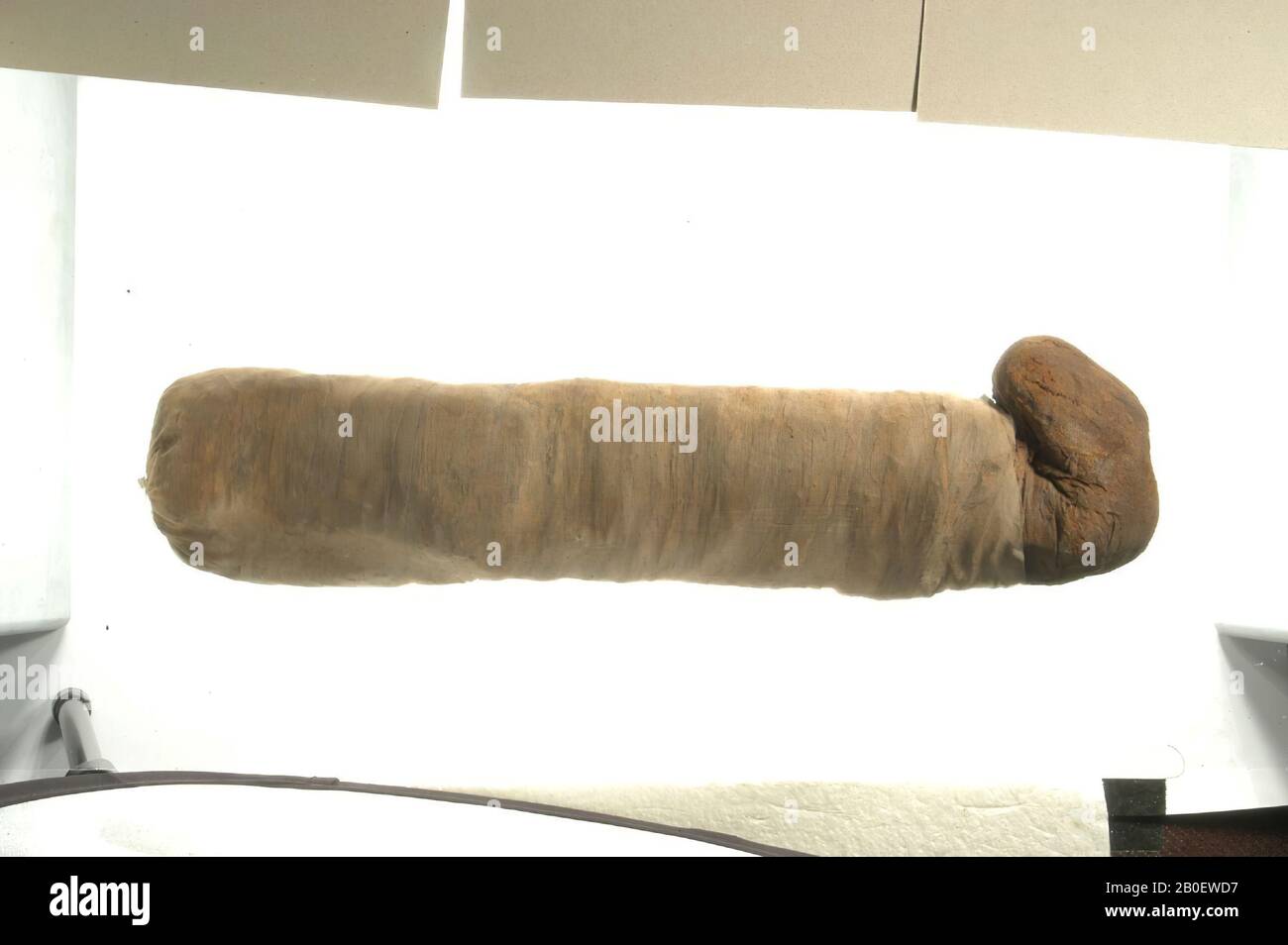 cat, Cat mummy with flattened body and protruding head. The animal's head is wrapped in irregular bandages from a larger sheet and probably fixed with glue. These consist of dark brown linen (warp-faced tabby weave, about 13 x 32 threads Stock Photo