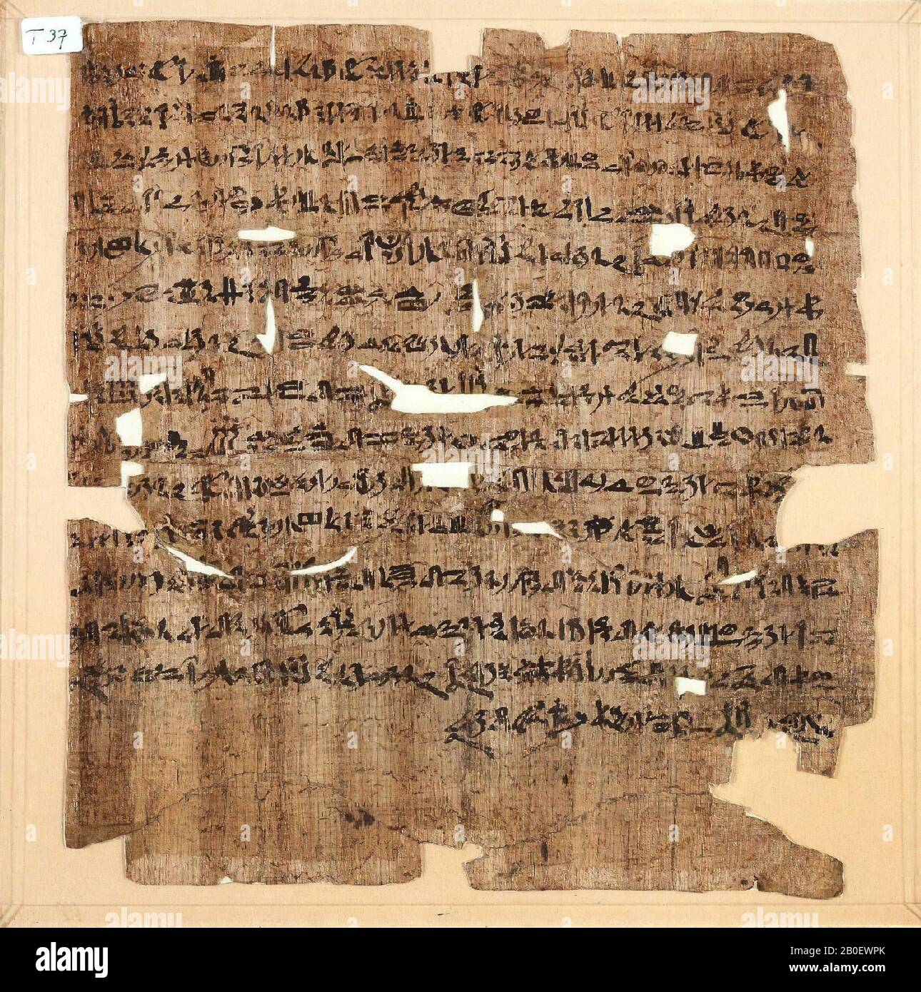 death book, Asty (?), A: Method of framing: glued on white paper and cardboard behind single glass, B: Classification, 1. Number of columns: 1 column of 15 lines, no rubrum, no damage in 3, 4 and 13, 2. Scripture: hieratic, 3. Color ink: black, 4. Reading direction: right to left, 5. Number of vignettes none, 6. Color: -, C: Description, Text :, DB 166, handwriting, hieratic , papyrus, 23 x 22 cm, glass size 25 x 25 cm, Third Intermediate Period, 22nd Dynasty or later, Egypt Stock Photo