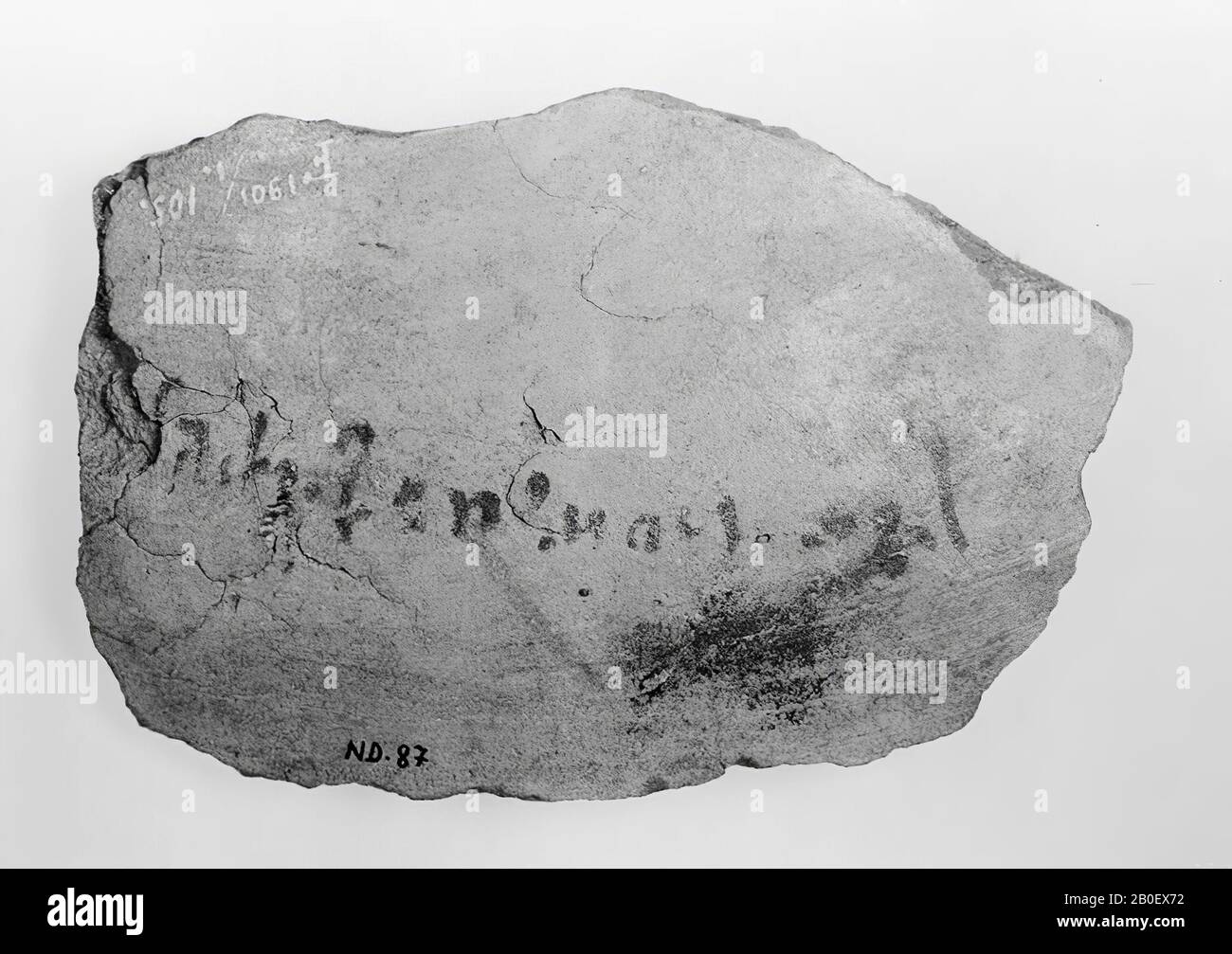 bill, ostracon, demotic, earthenware, 8.1 x 12.5 cm, Greco-Roman Period, Ptolemae, Egypt Stock Photo