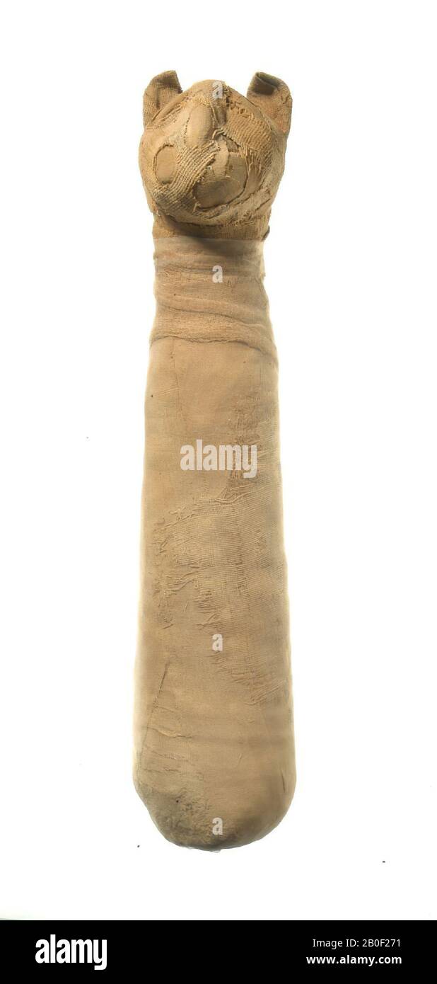 cat, Cat mummy with cylindrical body and naturalistic head. The animal's body is slightly flared out of the neck to the caudal end. It.has leg wrapped in a rectangular sheet or medium-fine linen (warp-faced tabby weave, about 11 x 24 threads Stock Photo