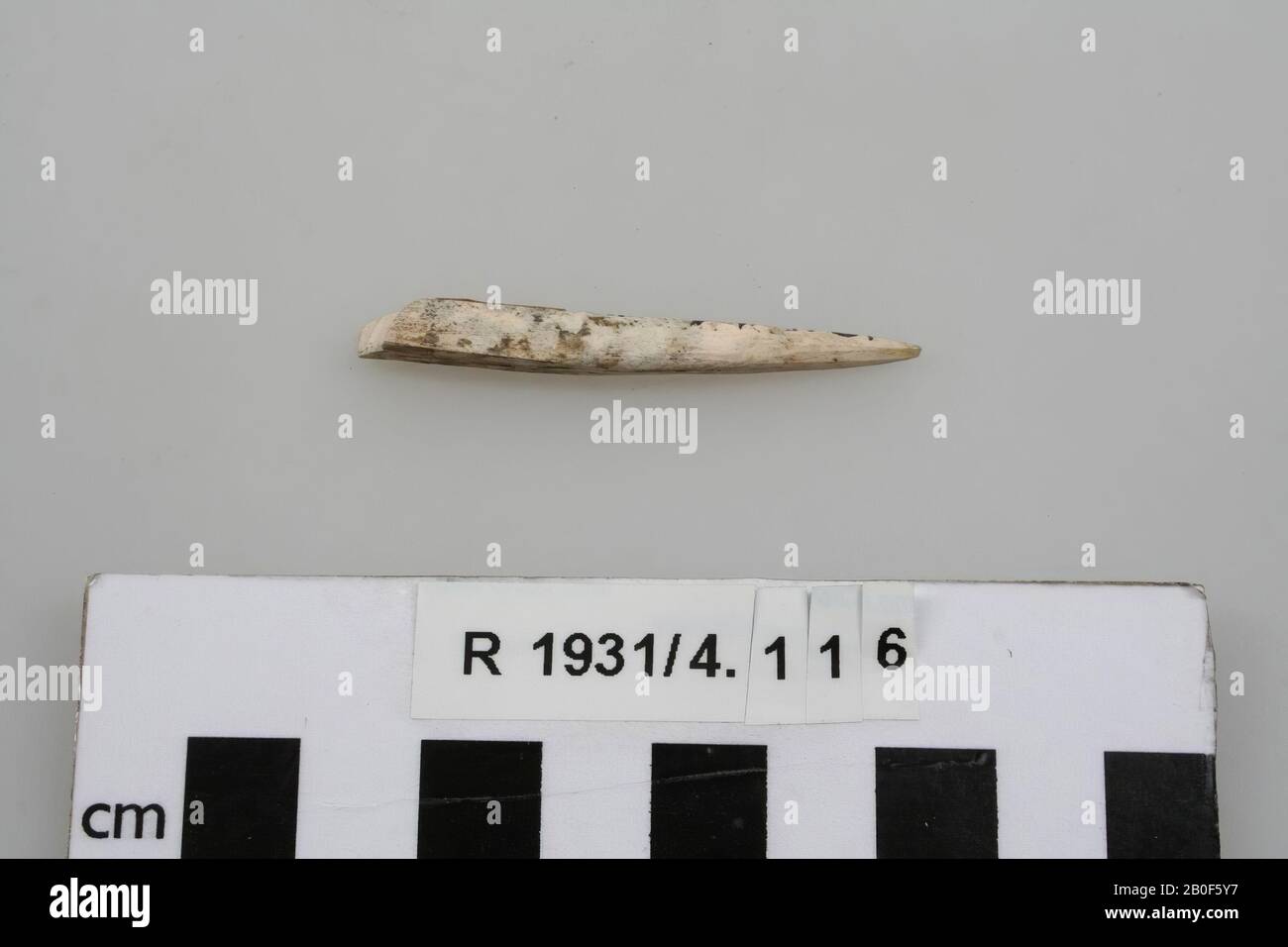 Legs, prime, organic, bone, 5,4 x 0,6 x 0,6 cm, France, unknown, unknown, unknown Stock Photo