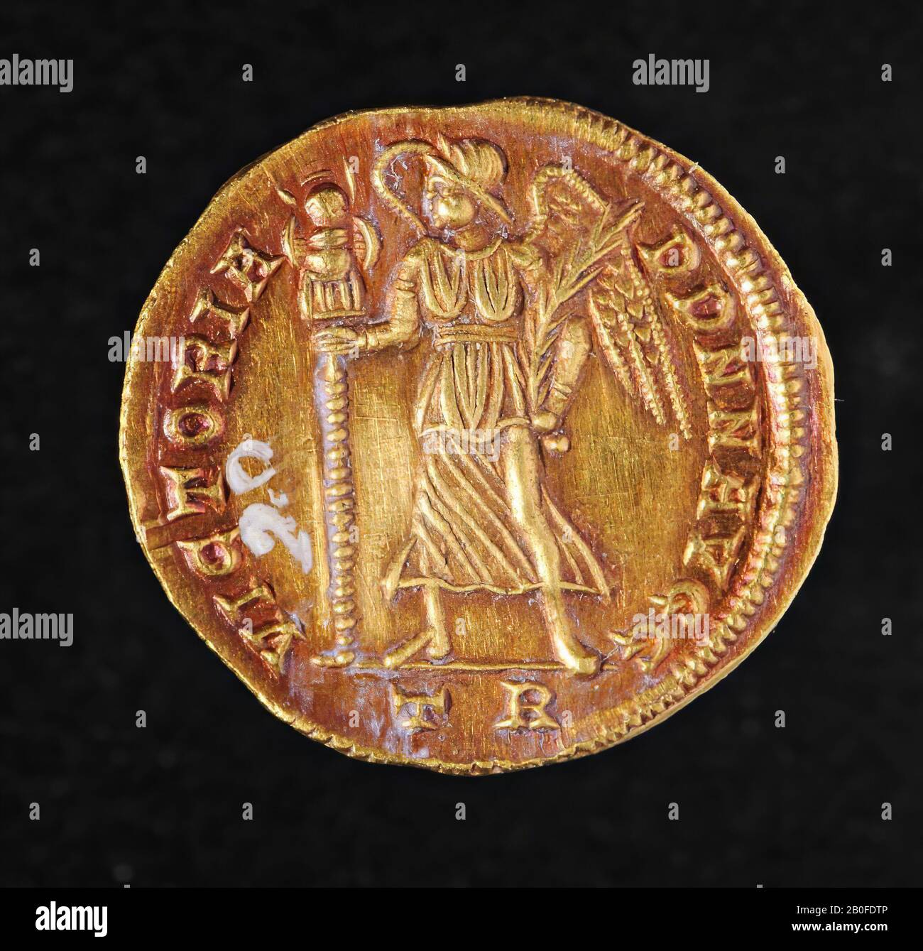 Tius hi-res stock photography and images - Alamy