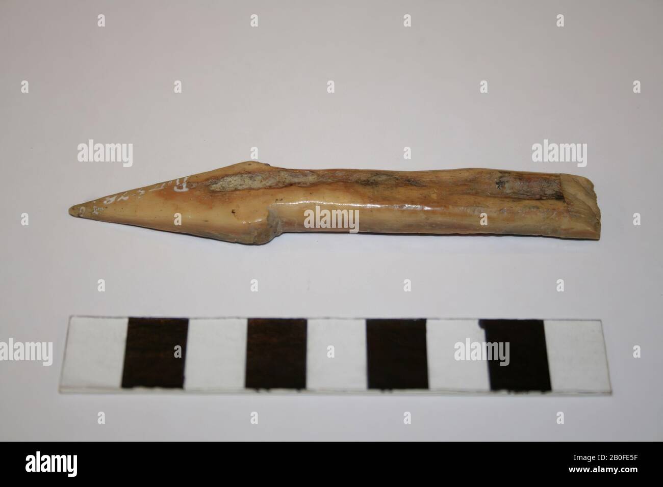 harpoon, organic, bone, 9 x 1.4 cm, lme Stock Photo