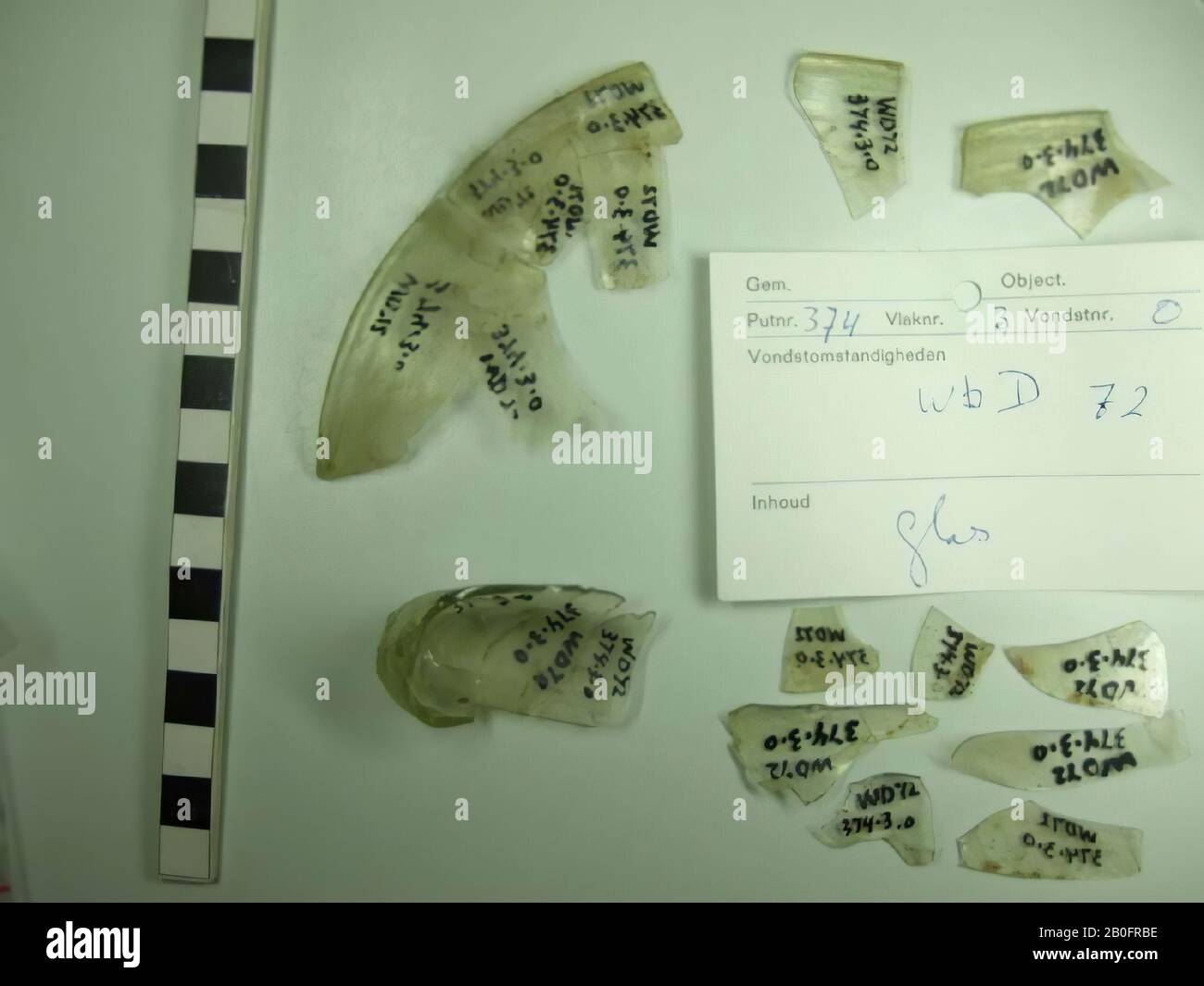 glass fragments of probably one funnel beaker Stock Photo