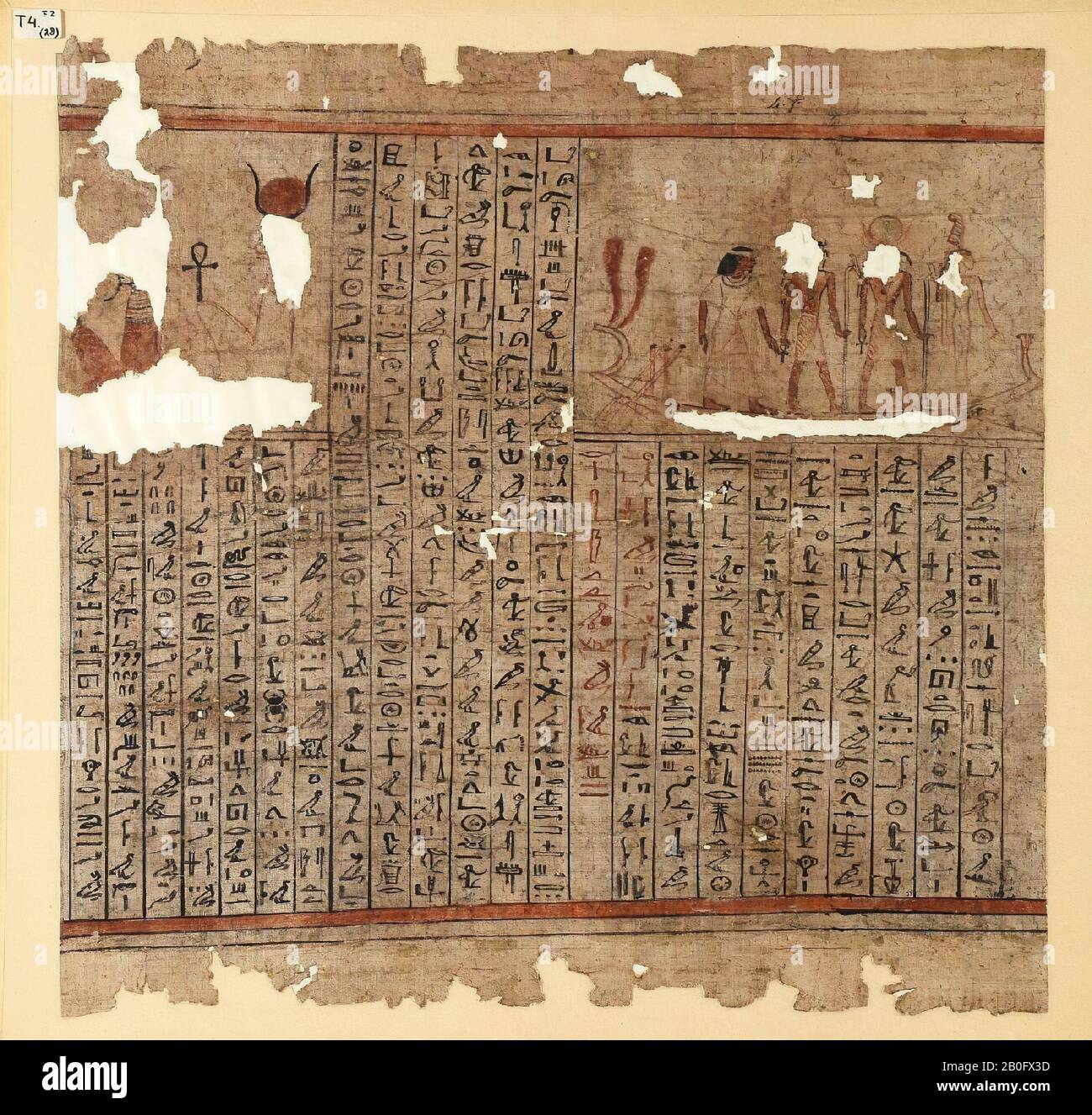 Egypt, death book, papyrus, 39 x 39.5 cm Stock Photo