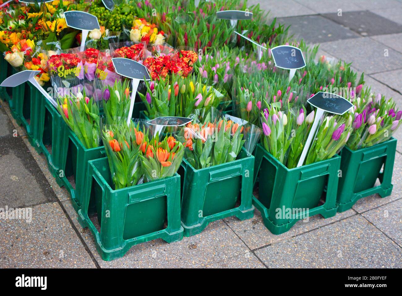 Heidelberg, Germany February 2020 Spring flower bouquets with