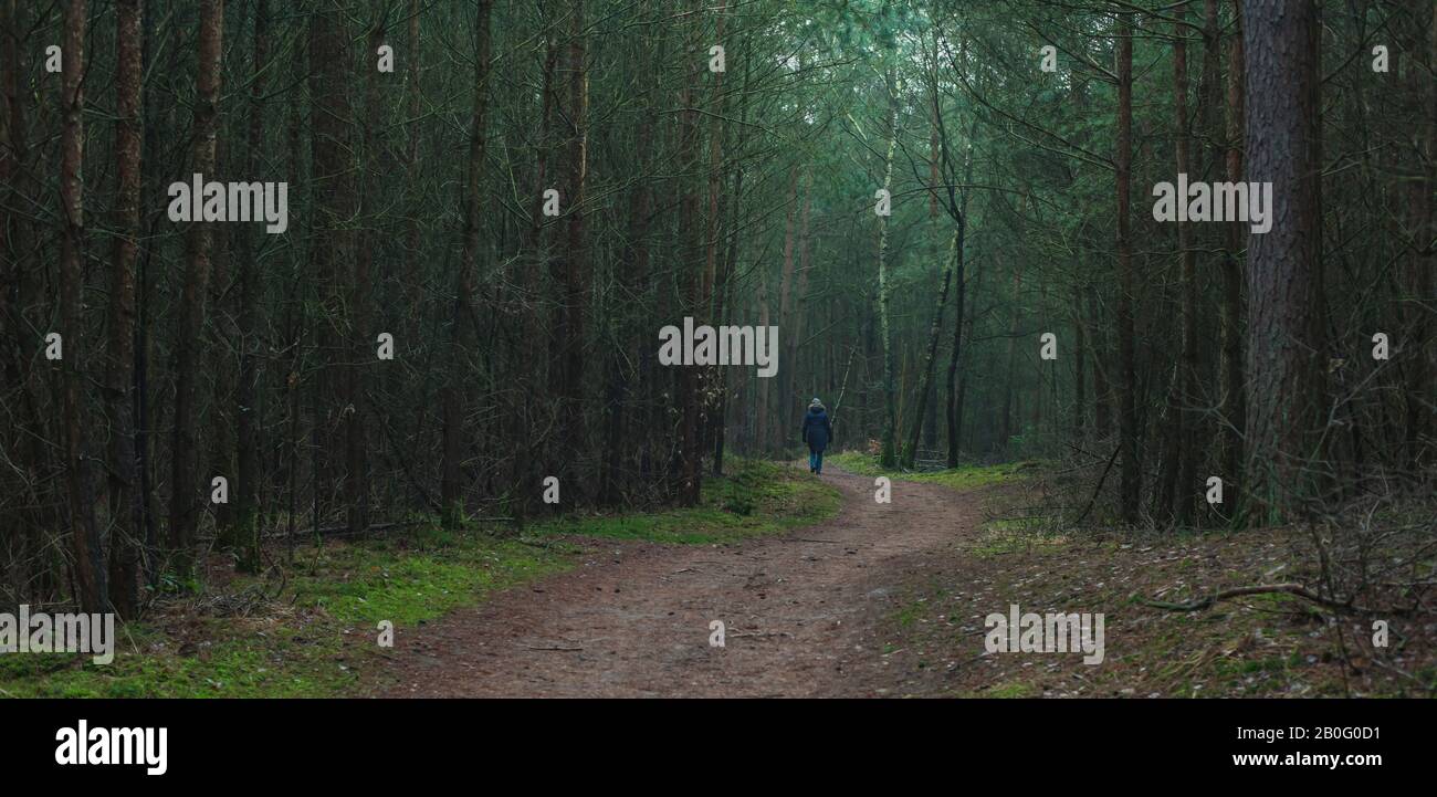 Woman in forest alone eerie hi-res stock photography and images - Alamy