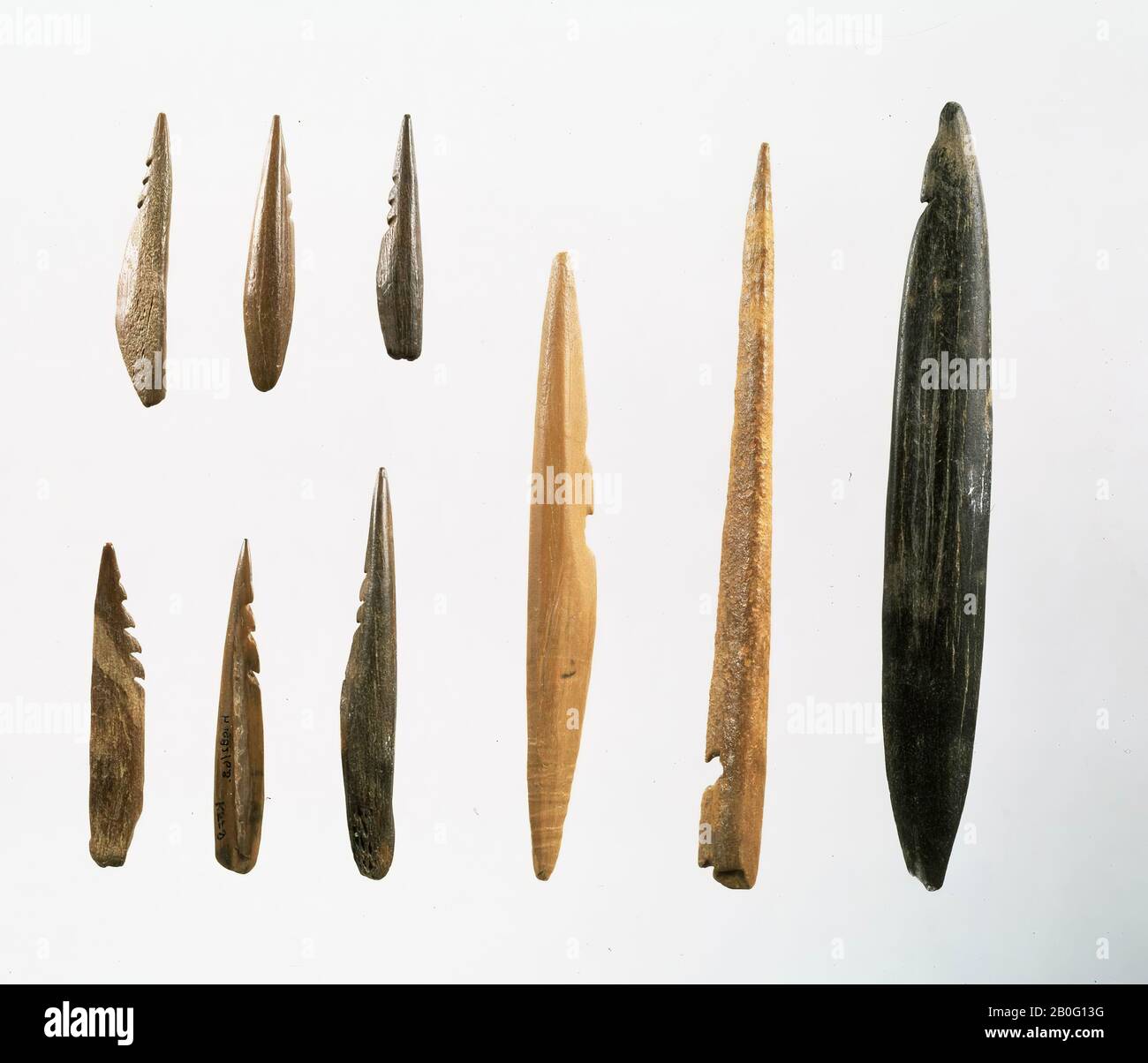 peak, organic, bone, prehistory, Netherlands, South Holland, Rotterdam, Maasvlakte Stock Photo