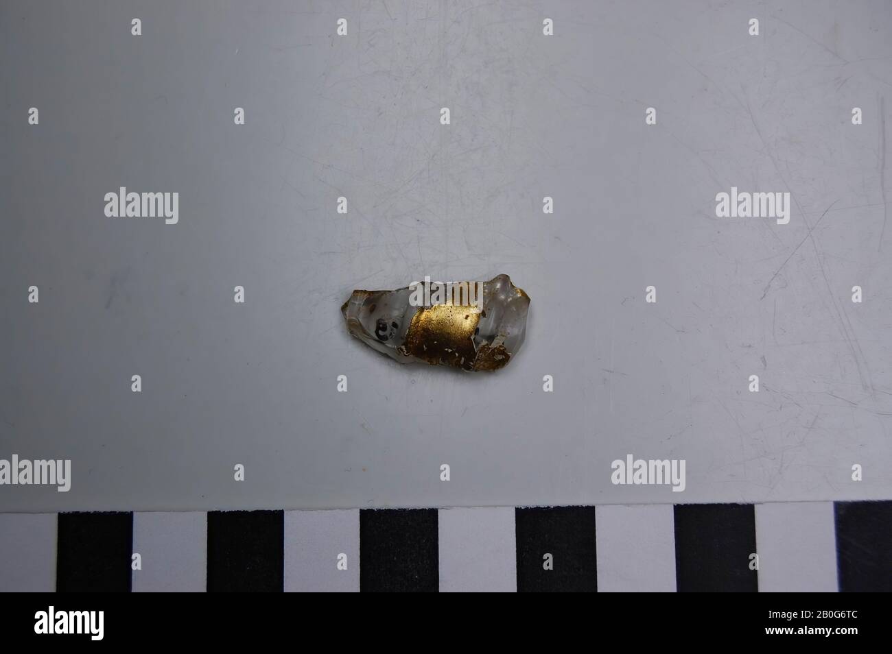 Glass shard of rib dish, decorated with gold-colored decoration., Shard, glass, 2,5 cm, Roman 50-100, Egypt Stock Photo