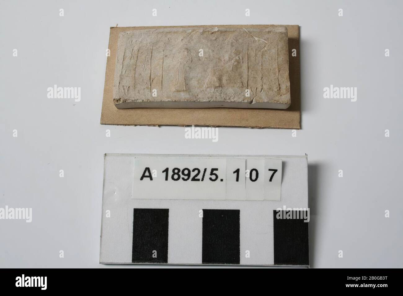 Print Cylinder Seal Plaster 2 5 X 5 4 X 0 7 Cm Cardboard 3 5 X 6 1 Cm Stock Photo Alamy Print Cylinder Seal Plaster 2 5 X 5 4 X 0 7 Cm Cardboard 3 5 X 6 1 Cm Stock Photo Alamy