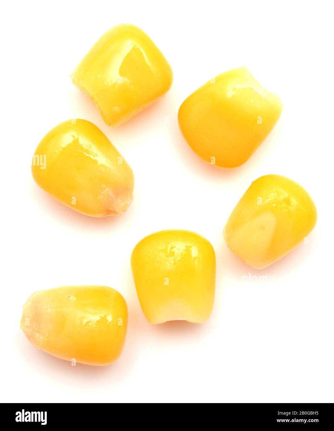Corn isolated on white background Stock Photo - Alamy