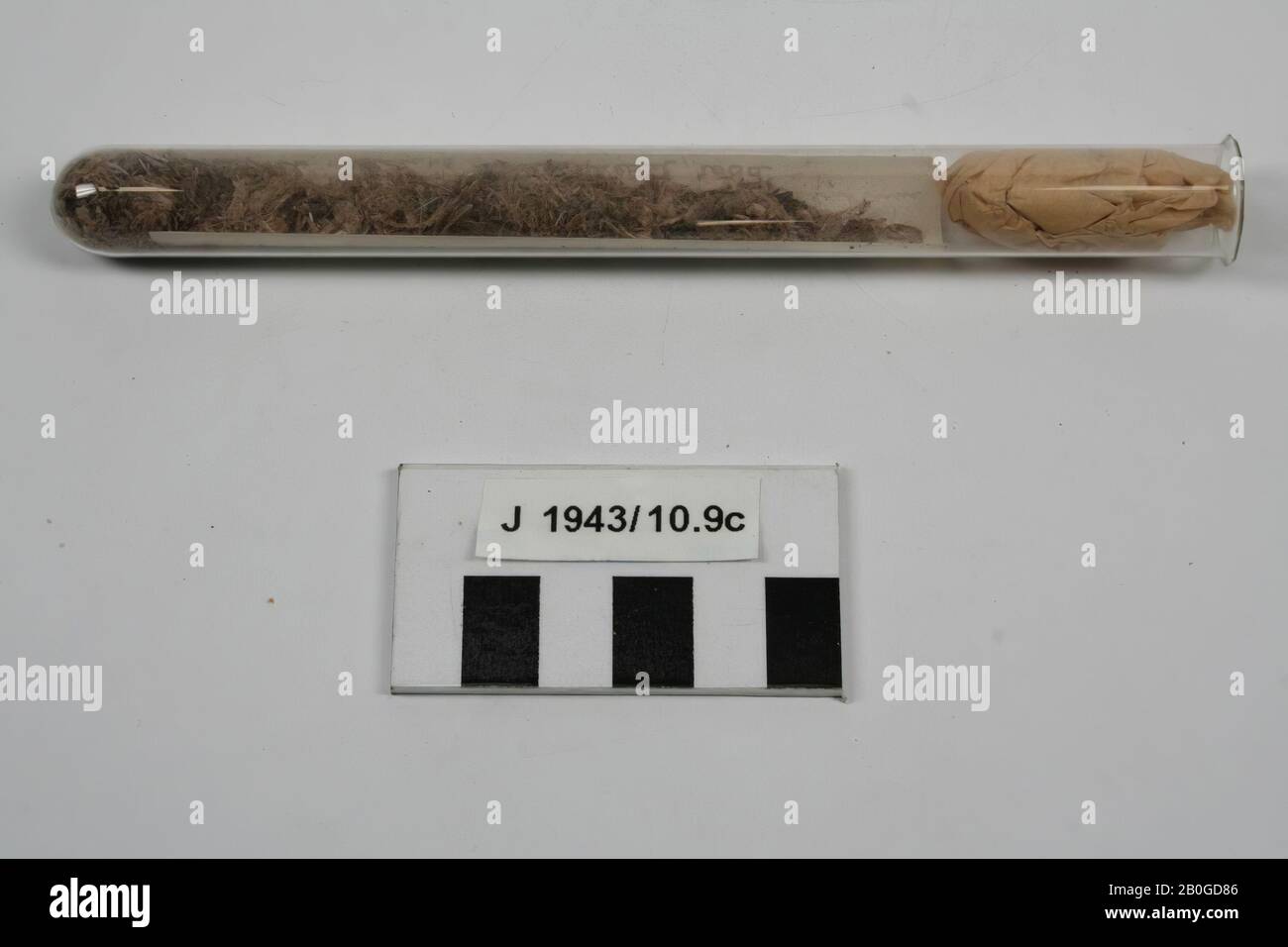 Glass test tube filled with fragments of textiles, a wad of paper and a piece of paper with text: Remains of a mat lying over the skeleton with brownish ditto underneath. Grave with raised knees, center hill. Little wood, skull red., Fragments, test tube, letter, organic, textile, glass, paper, Test tube: 16 x 1.3 cm, prehistory, Ukraine Stock Photo