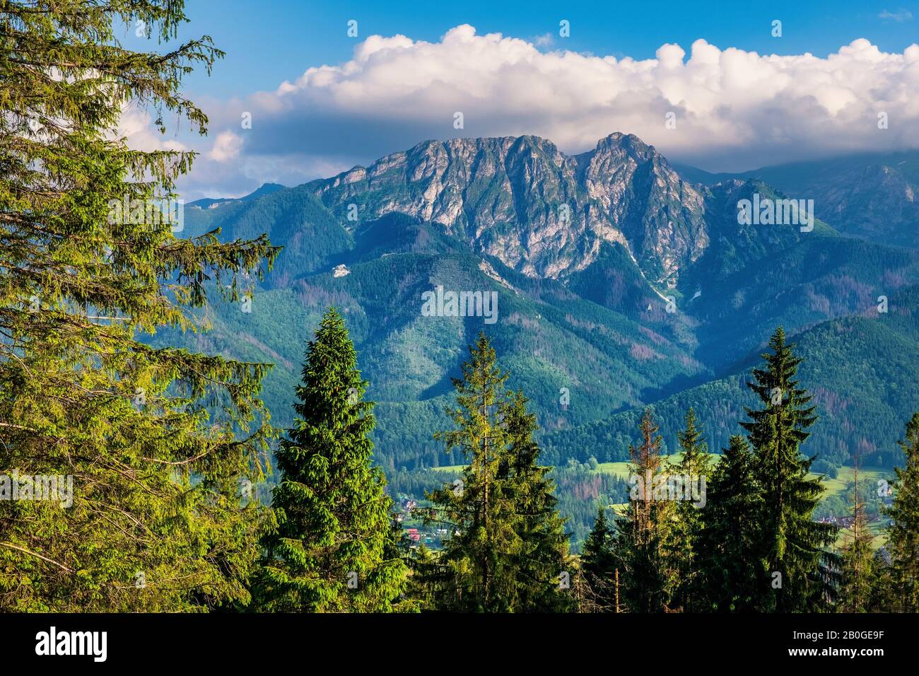 Panoramic view of Tatra Mountains with Giewont and Czerwone Wierchy ...