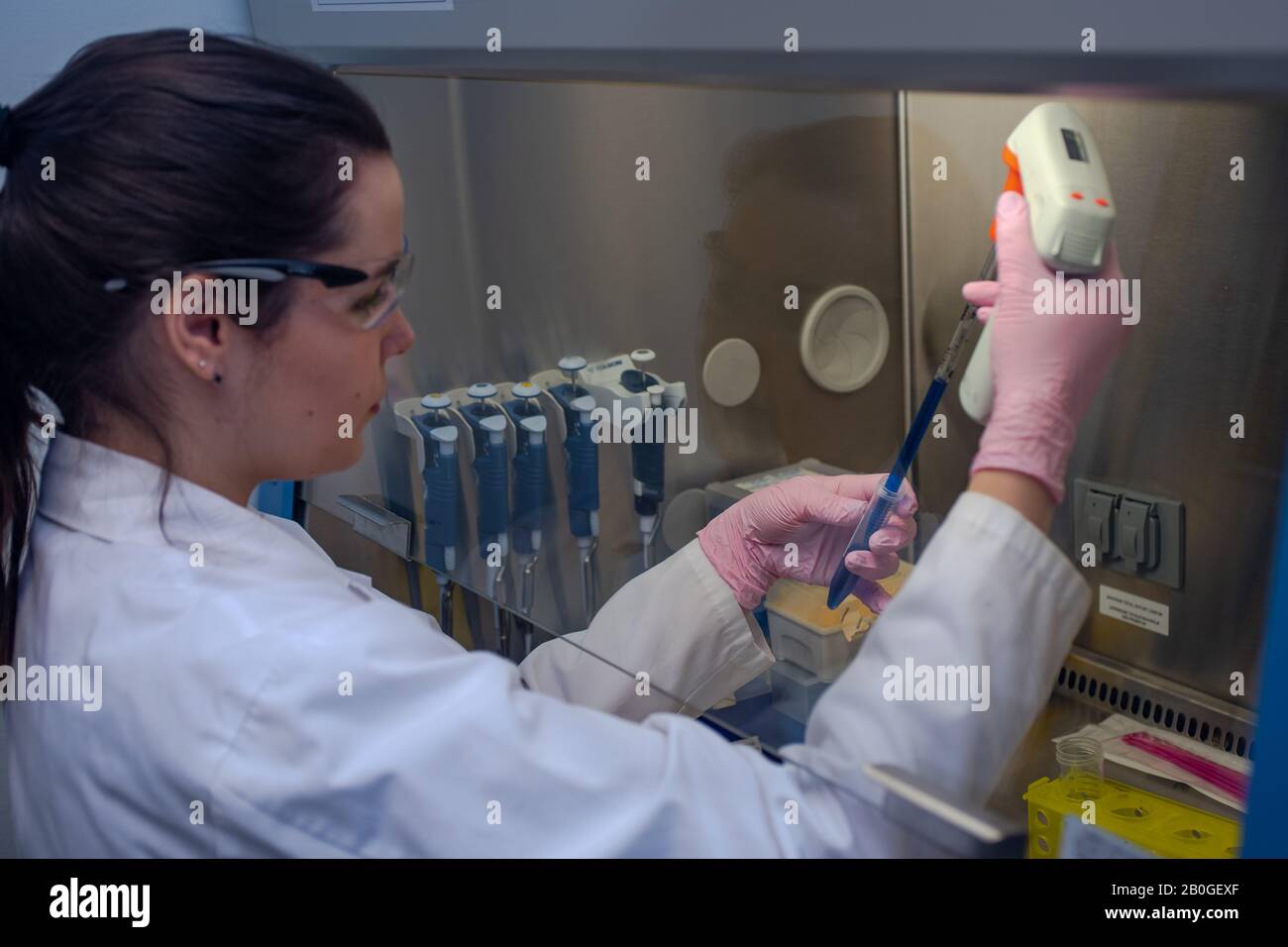 Researcher working in biotechnology laboratory Stock Photo