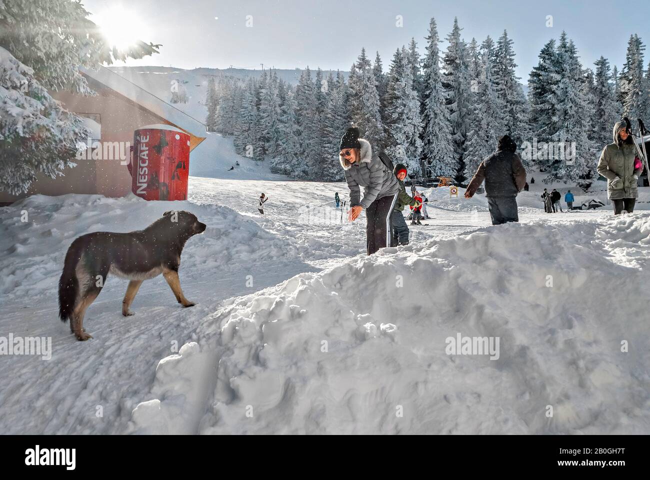 Winter on Vitosha Mountain;Bulgaria Stock Photo - Alamy