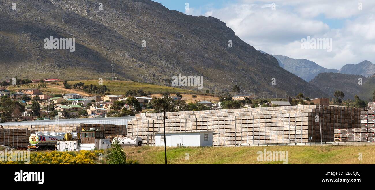 Villiersdorp Western Cape, South Africa. Dec 2019. The Betko fruit packing and exporting business at Villiersdorp in the Overberg area of the Western Stock Photo