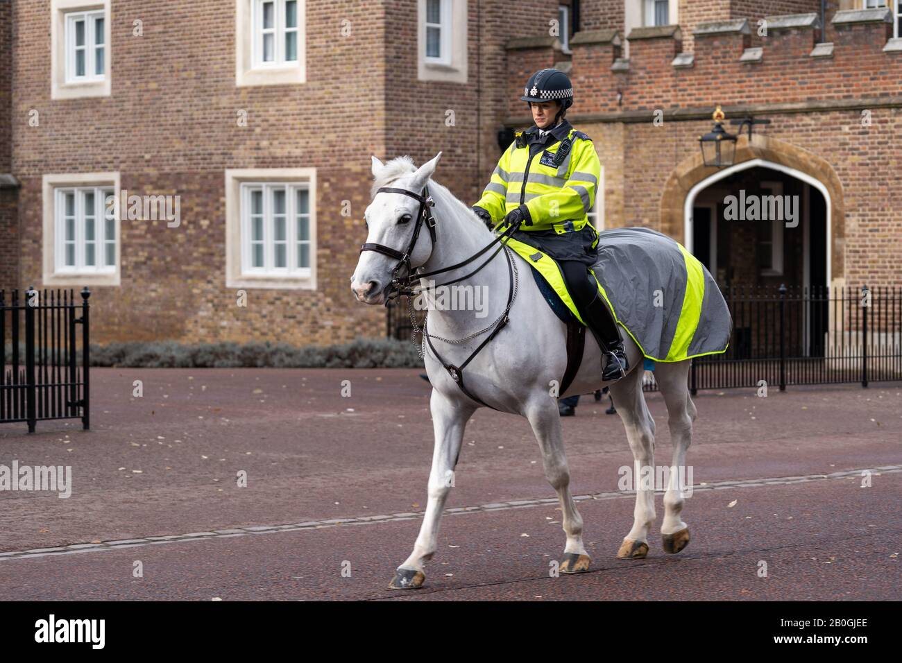 Police officer on horse in London Stock Photo
