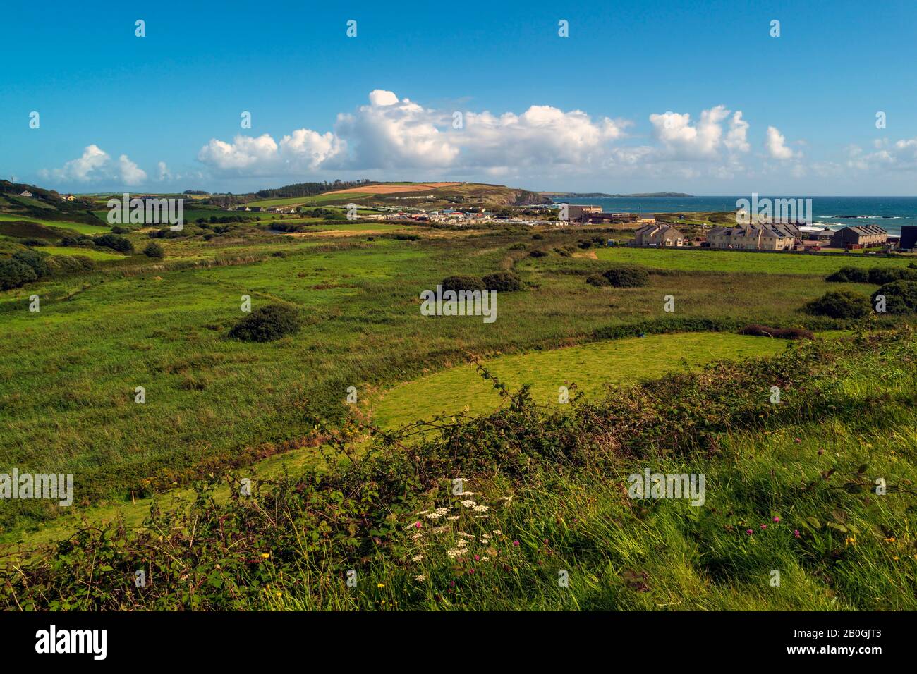 Countryside near Owenahincha Beach with a view to Rosscarbery Bay in