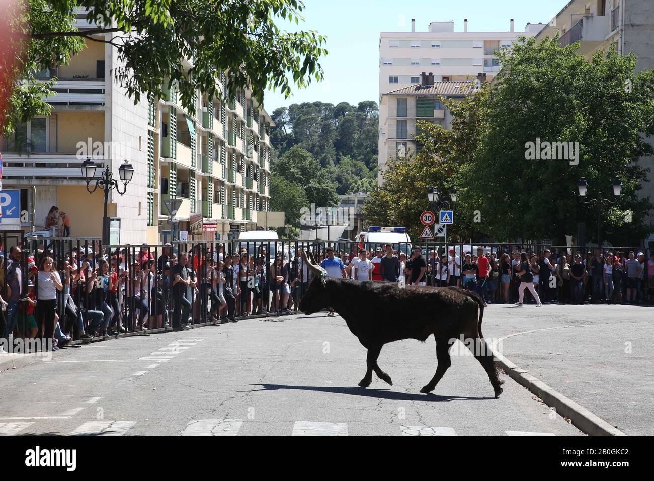 Bullfestival hi-res stock photography and images - Alamy