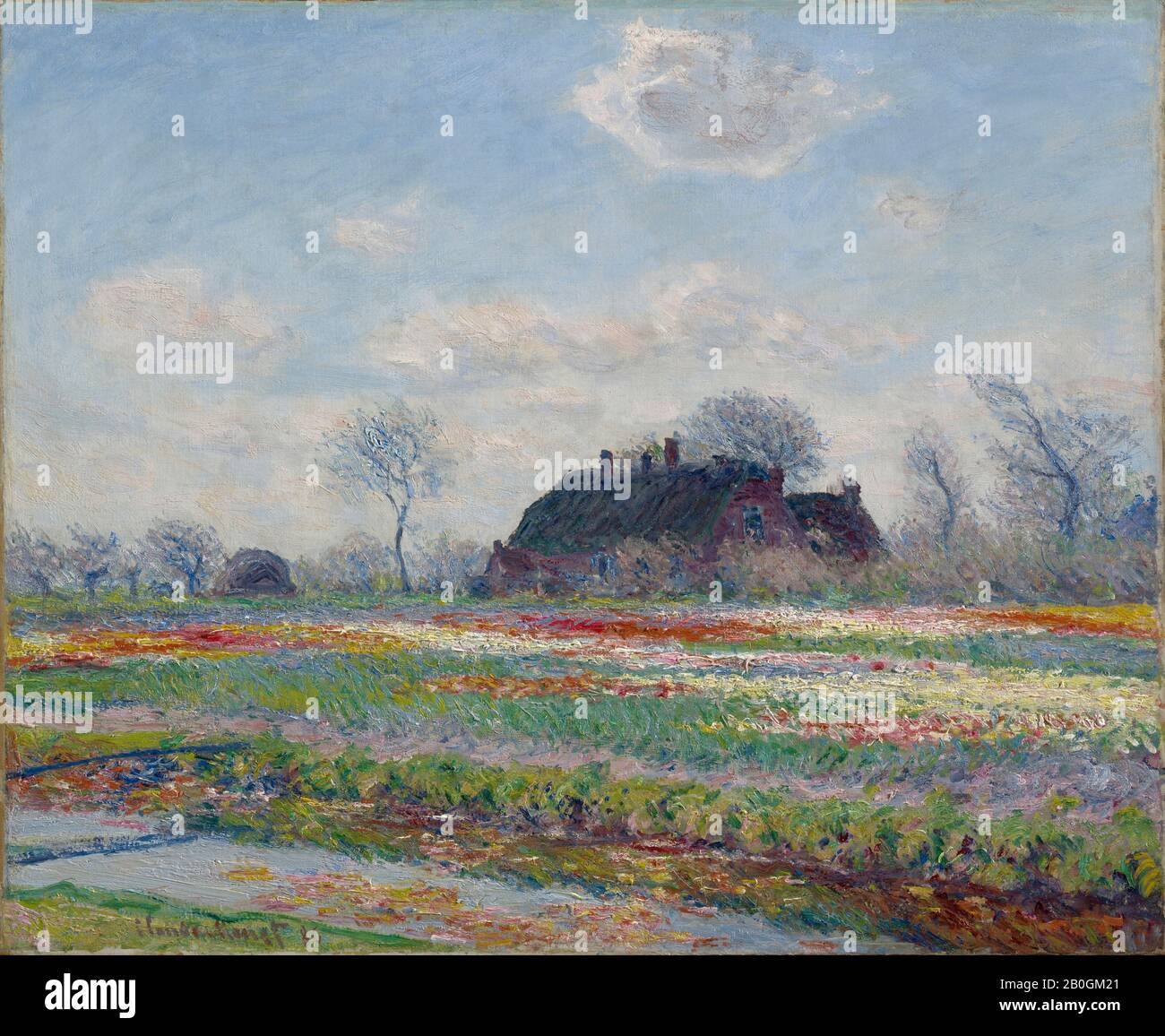 Claude Monet, French, 1840–1926, Tulip Fields at Sassenheim, 1886, Oil on canvas, 23 1/2 x 28 3/4 in. (59.7 x 73 cm Stock Photo