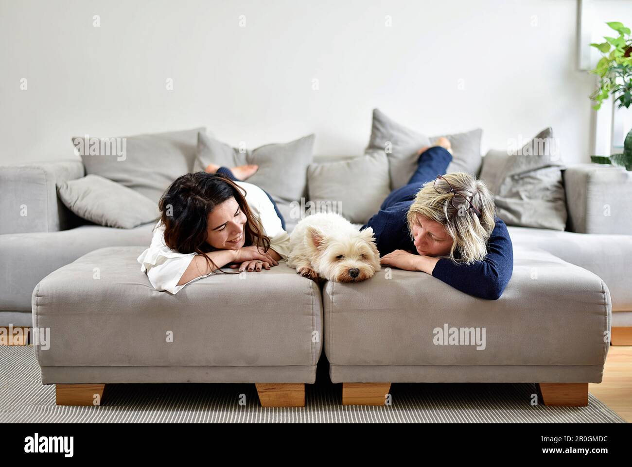 A young and old woman talking together on a sofa and lying with a white terrier Stock Photo