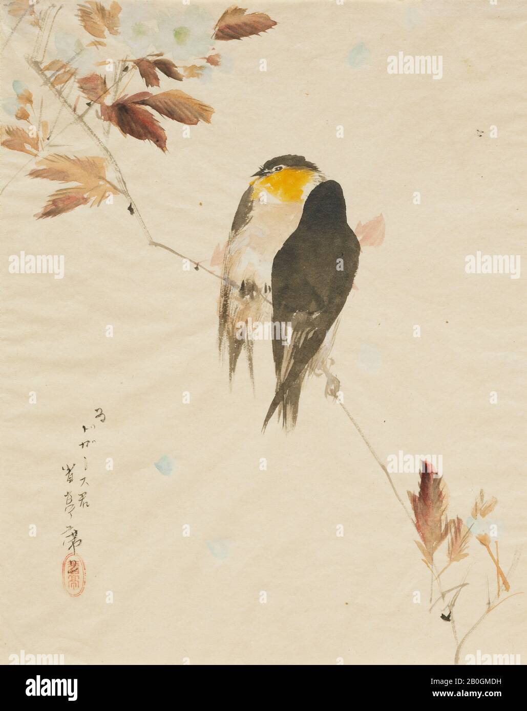 Watanabe Seitei, Japanese, 1851–1918, Birds on a Branch, 1871–1917, Watercolor on paper, Overall: 9 5/8 x 7 5/8 in. (24.4 x 19.4 cm Stock Photo - Alamy Watanabe Seitei, Japanese, 1851–1918, Birds on a Branch, 1871–1917, Watercolor on paper, Overall: 9 5/8 x 7 5/8 in. (24.4 x 19.4 cm Stock Photo - Alamy
