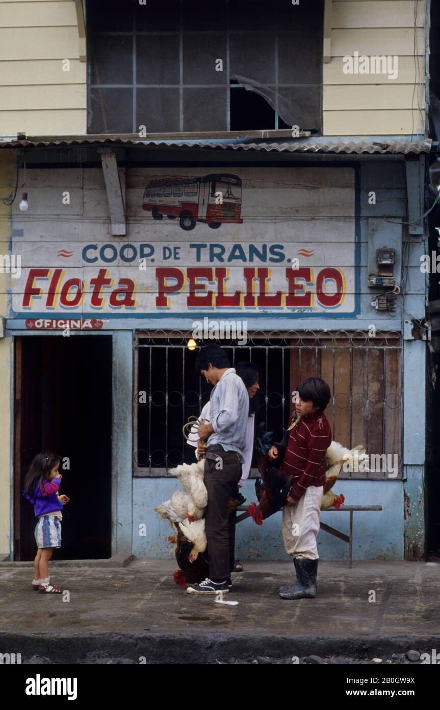 ECUADOR, AMAZON BASIN, COCA, STREET SCENE WITH FATHER & SON SELLING CHICKENS Stock Photo
