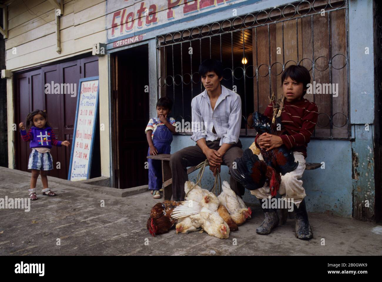 ECUADOR, AMAZON BASIN, COCA, STREET SCENE WITH FATHER & SON SELLING CHICKENS Stock Photo