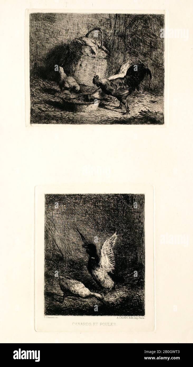 Federico Jiménez y Fernandez, Spanish, born 1841, Chickens and Ducks, 1883?, Etching on wove paper, sheet: 21 7/16 x 13 1/16 in. (54.5 x 33.1 cm Stock Photo
