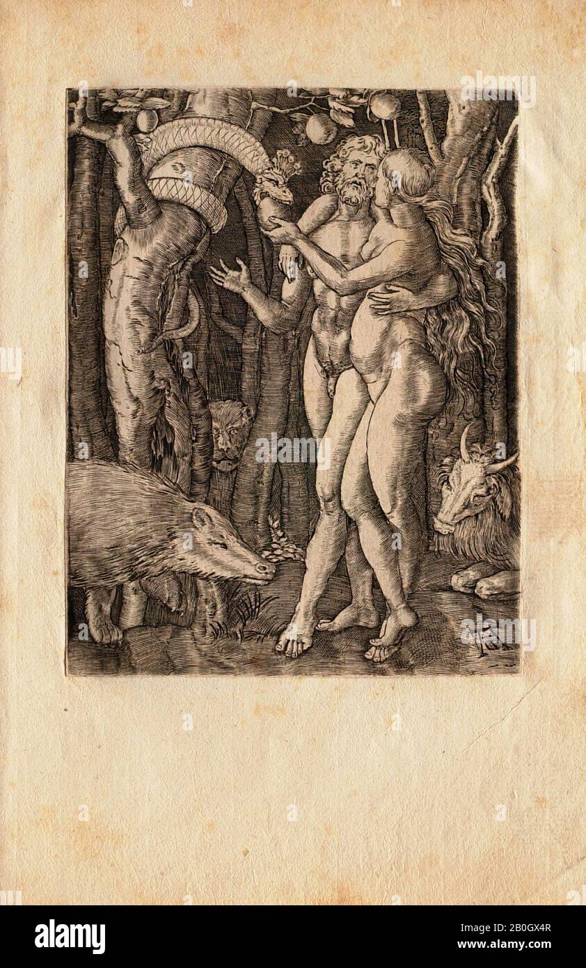Unknown, After Albrecht Dürer, (German, 1471-1528), The Small Passion: The  Fall of Man, late 16th century, Engraving on paper mounted on laid paper,  image: 4 15/16 x 3 5/8 in. (12.5 x 9.2 cm Stock Photo - Alamy