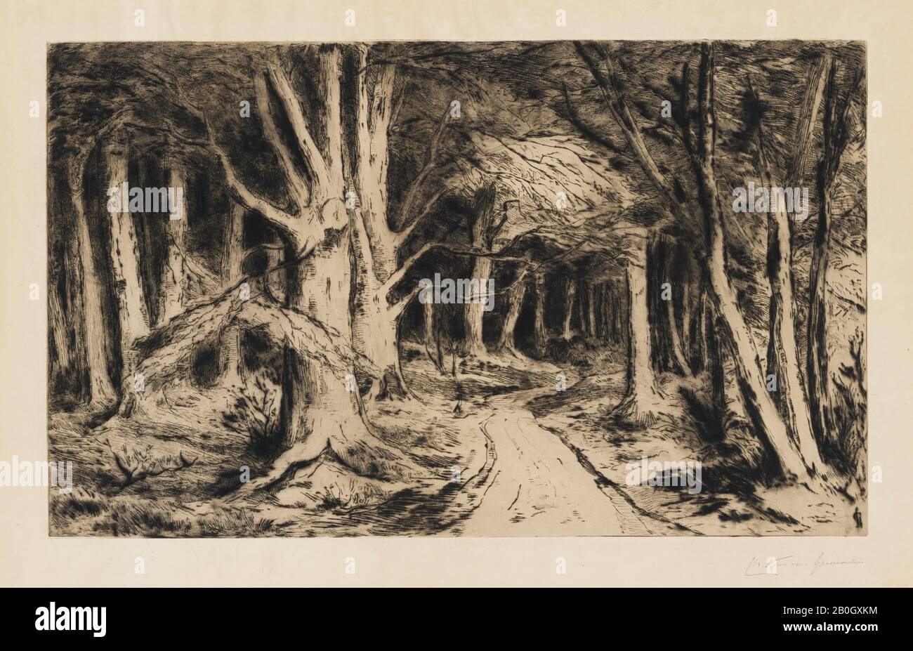 Carel Nicolaas Storm van's Gravesande, Dutch, 1841–1924, Forest Path, c. 1885, Etching, softground etching and drypoint on japan paper, image: 10 9/16 x 17 7/16 in. (26.8 x 44.3 cm Stock Photo
