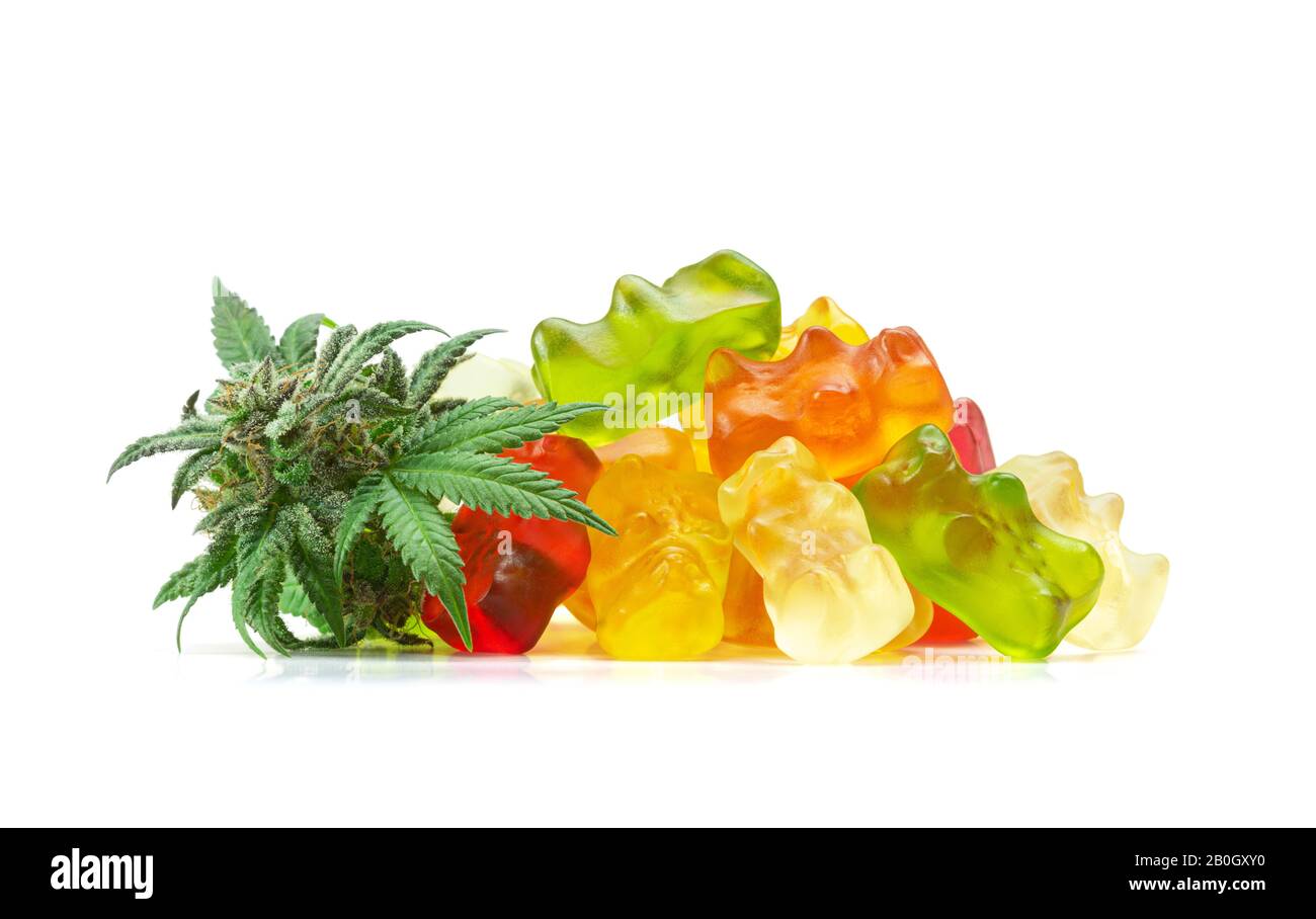 Gummy Bear Medical Marijuana Edibles, Candies Infused with CBD or THC, with Cannabis Bud Isolated on White Background Stock Photo