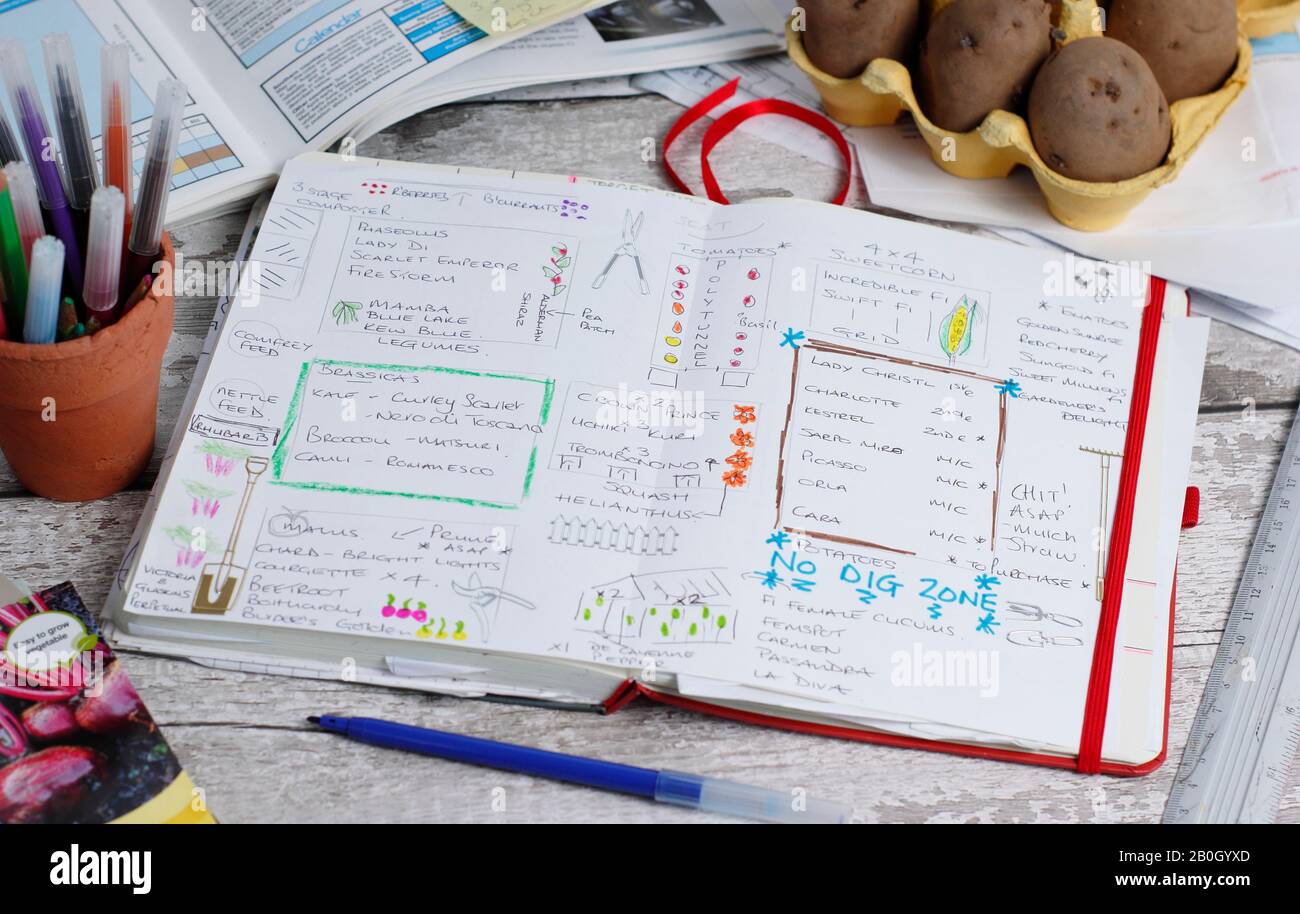 Planning a vegetable garden in late winter with a gardening notebook, seed potatoes and seed packets. UK Stock Photo