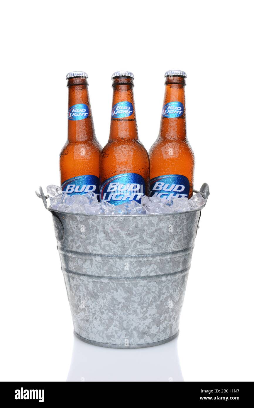 Busch light hi-res stock photography and images - Alamy