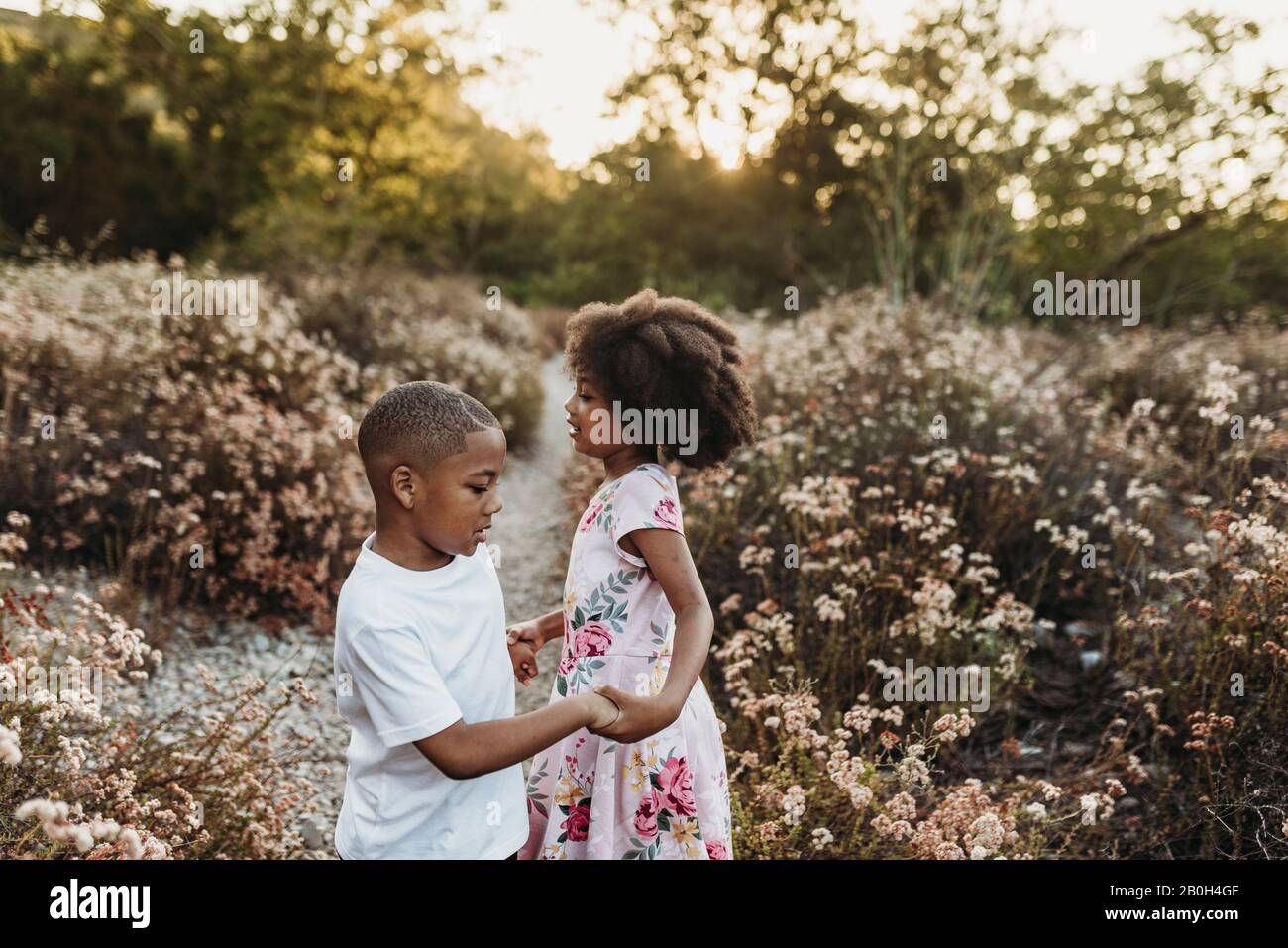 Close up view of brother and sister holding hands and playing in field ...