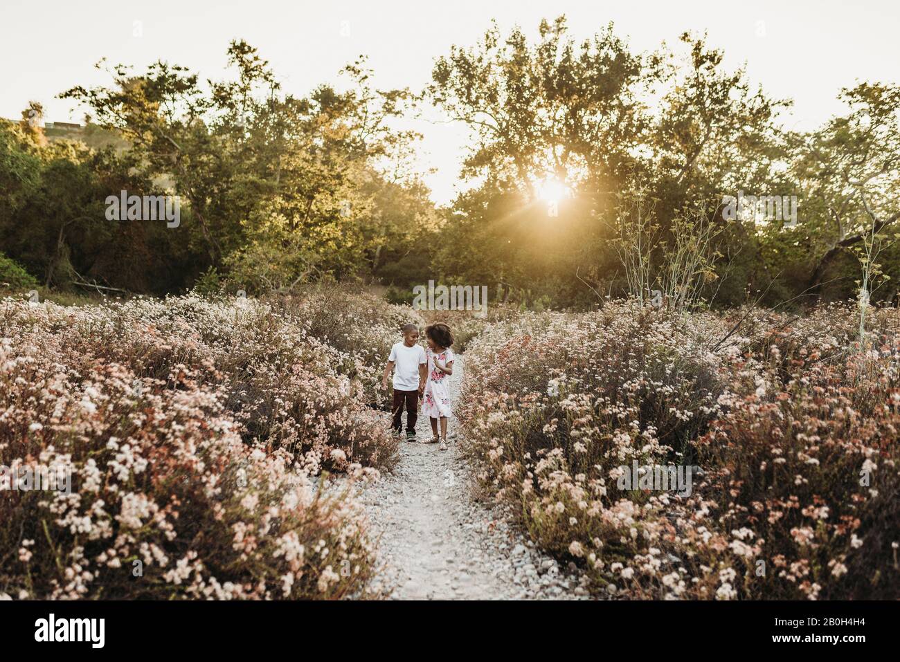 Landscape view of brother and sister holding hands and running Stock ...