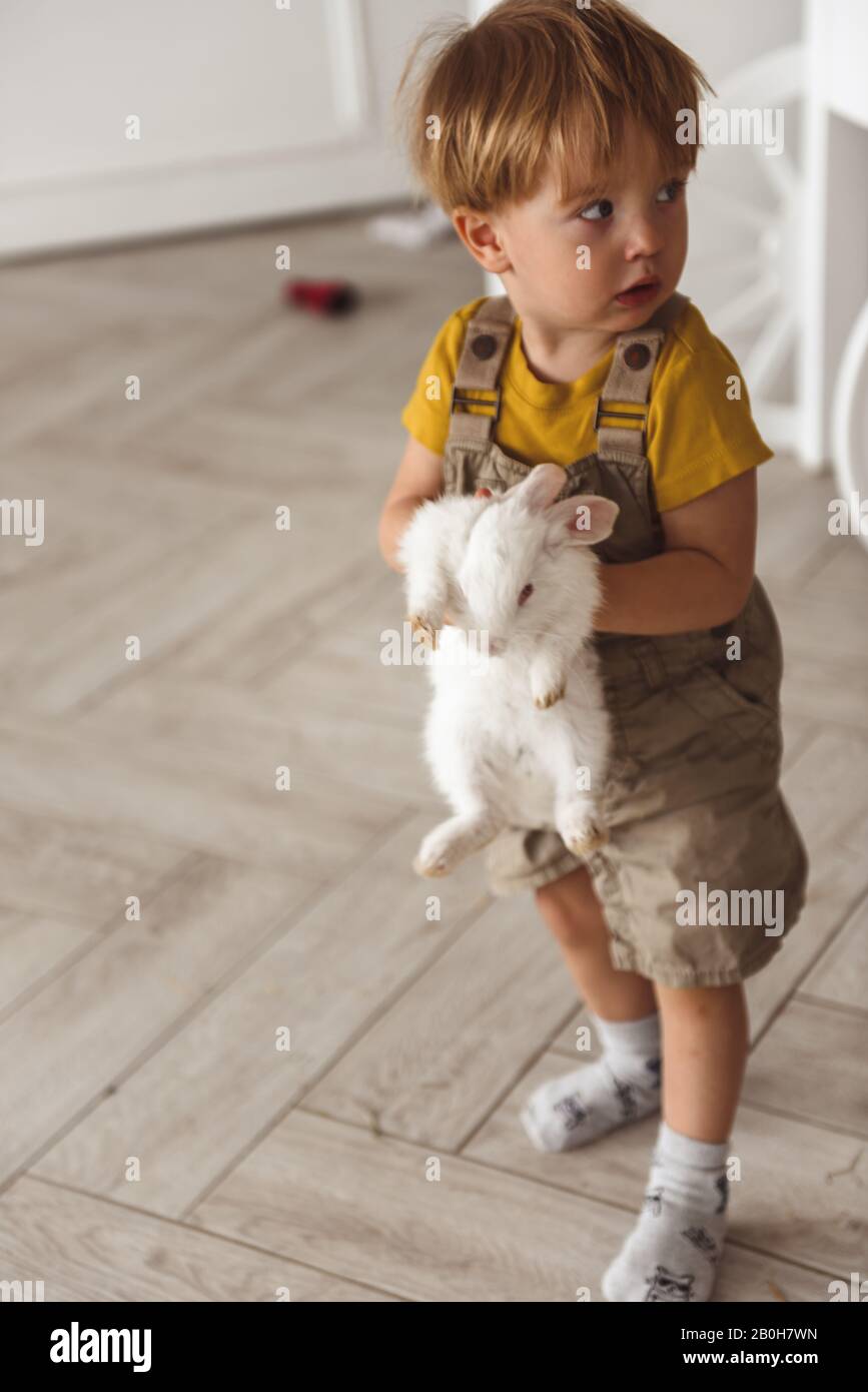 boy playing with a rabbit for Easter Stock Photo