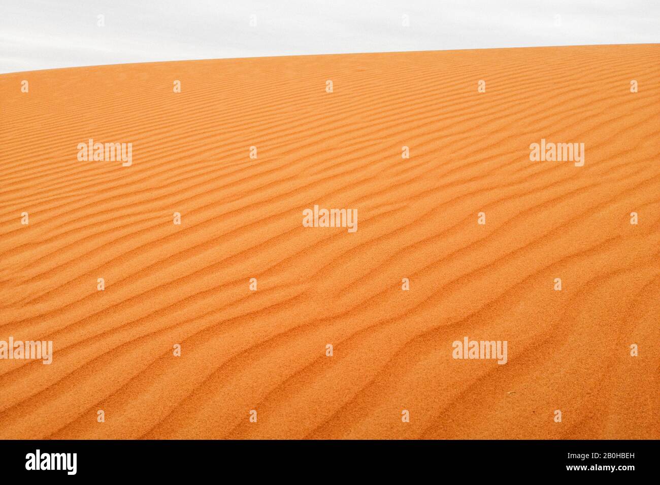 Morocco, Merzouga, Stock Photo