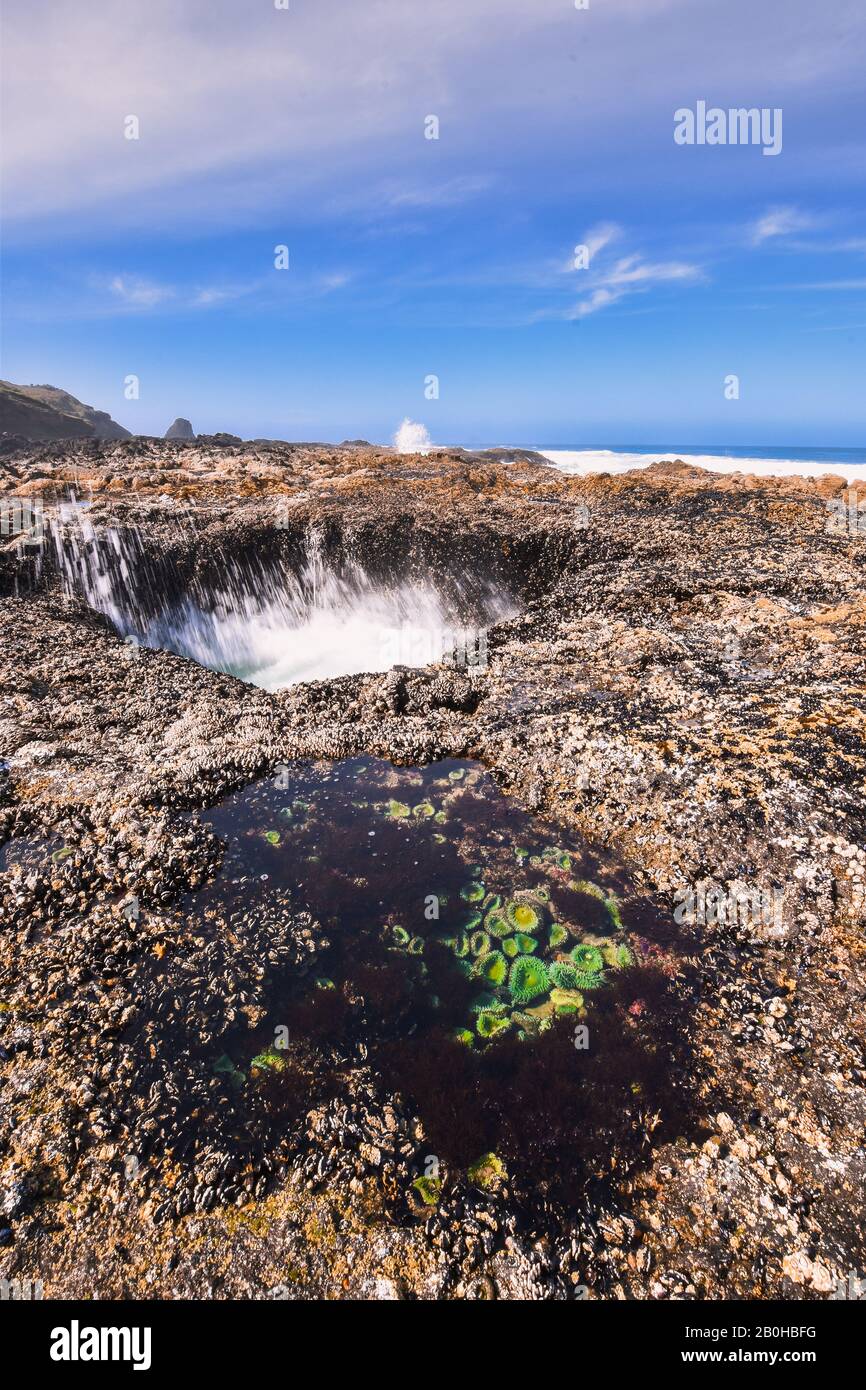 Beauty of Oregon, USA Stock Photo