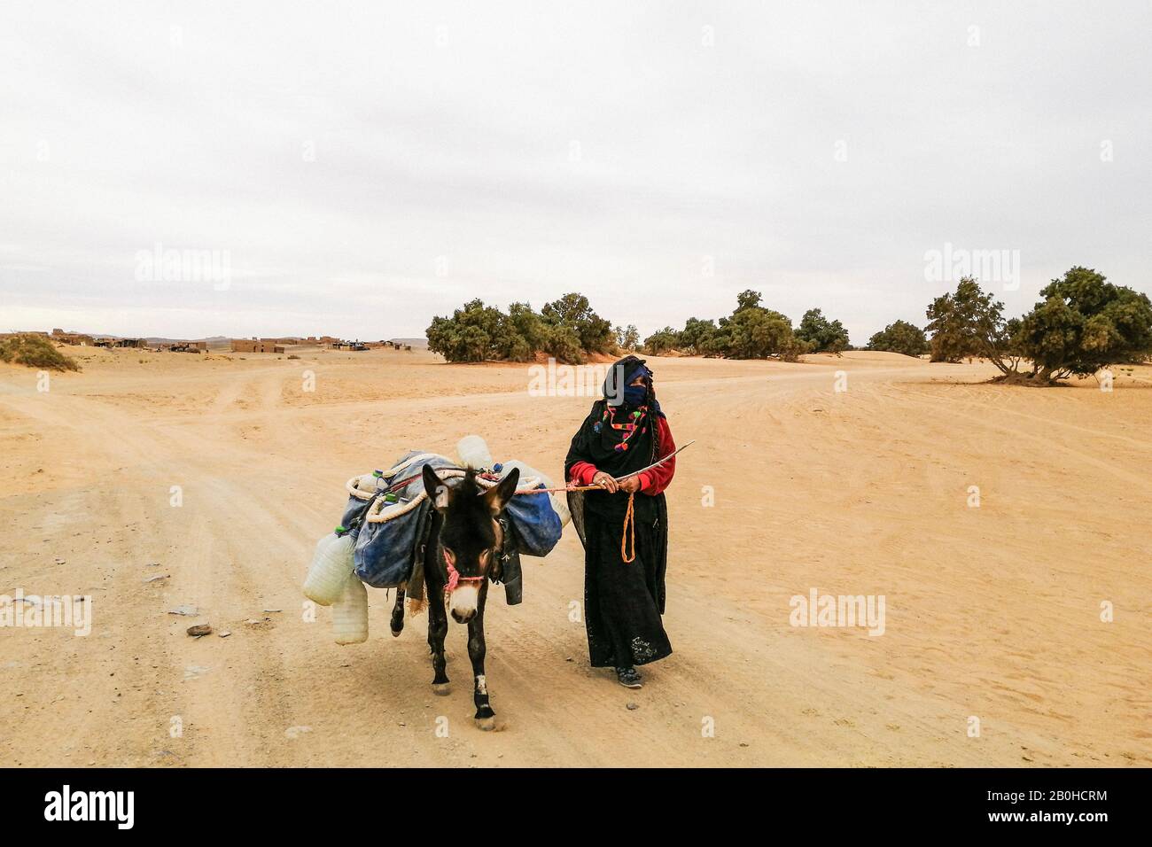 Morocco, Taouz, Daily Life Stock Photo - Alamy