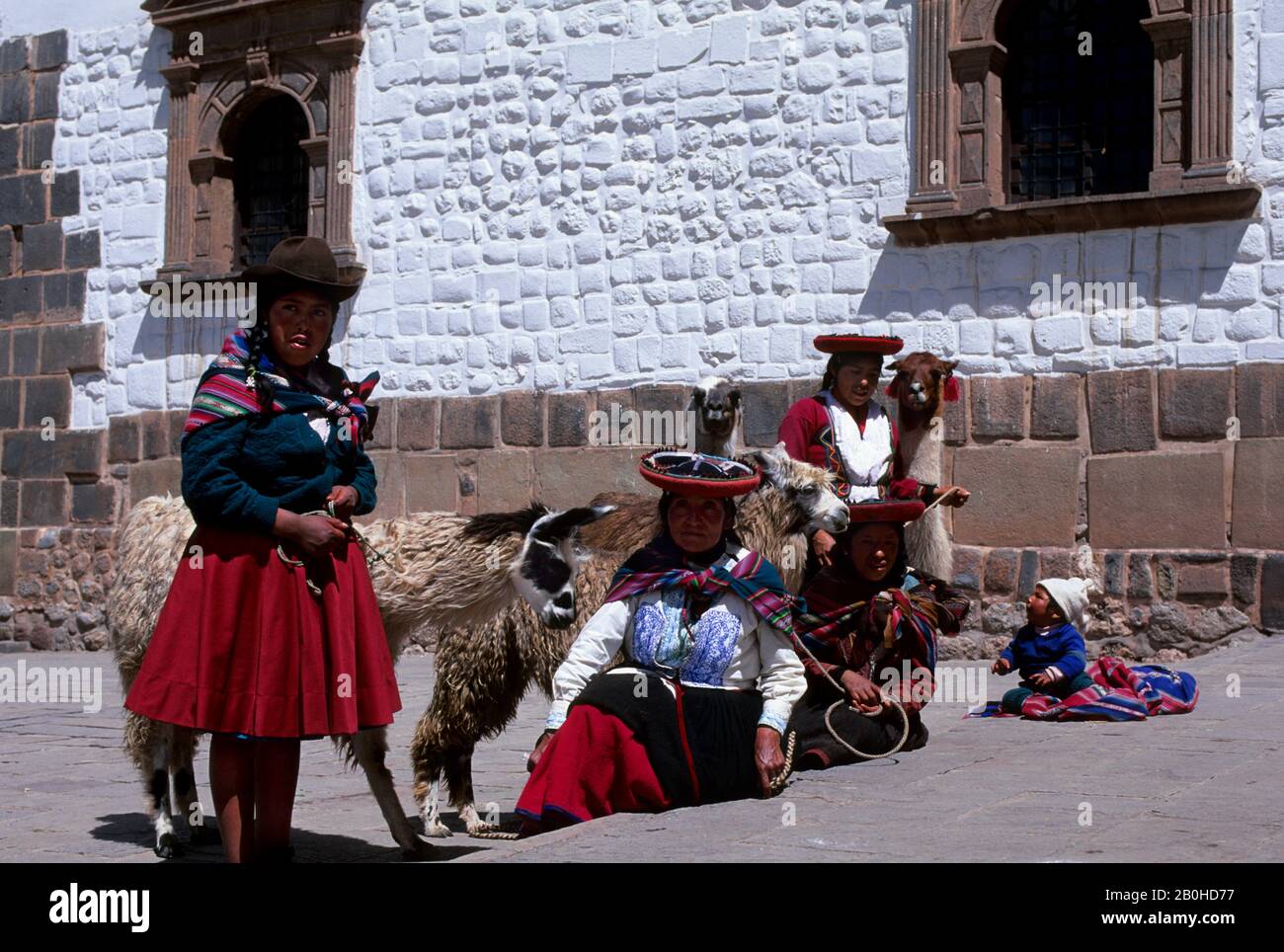 Baby llama cusco hi-res stock photography and images - Alamy