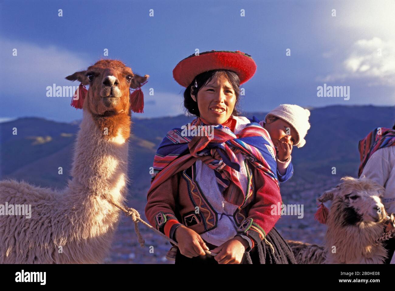 Peru llama woman quechua hi-res stock photography and images - Alamy