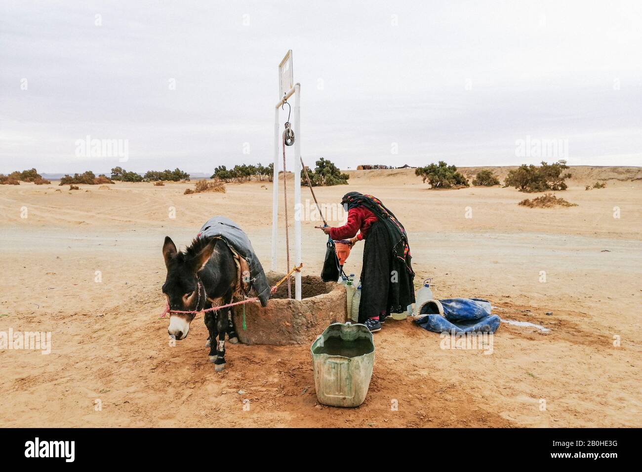 Morocco,  Taouz, daily life Stock Photo