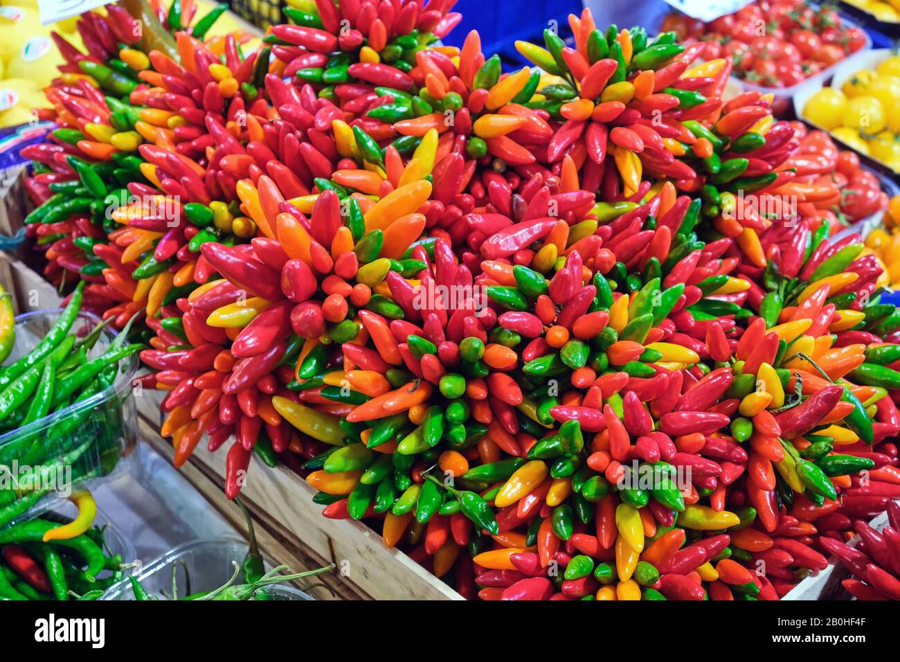 Colorful chili peppers for sale at a market Stock Photo Alamy