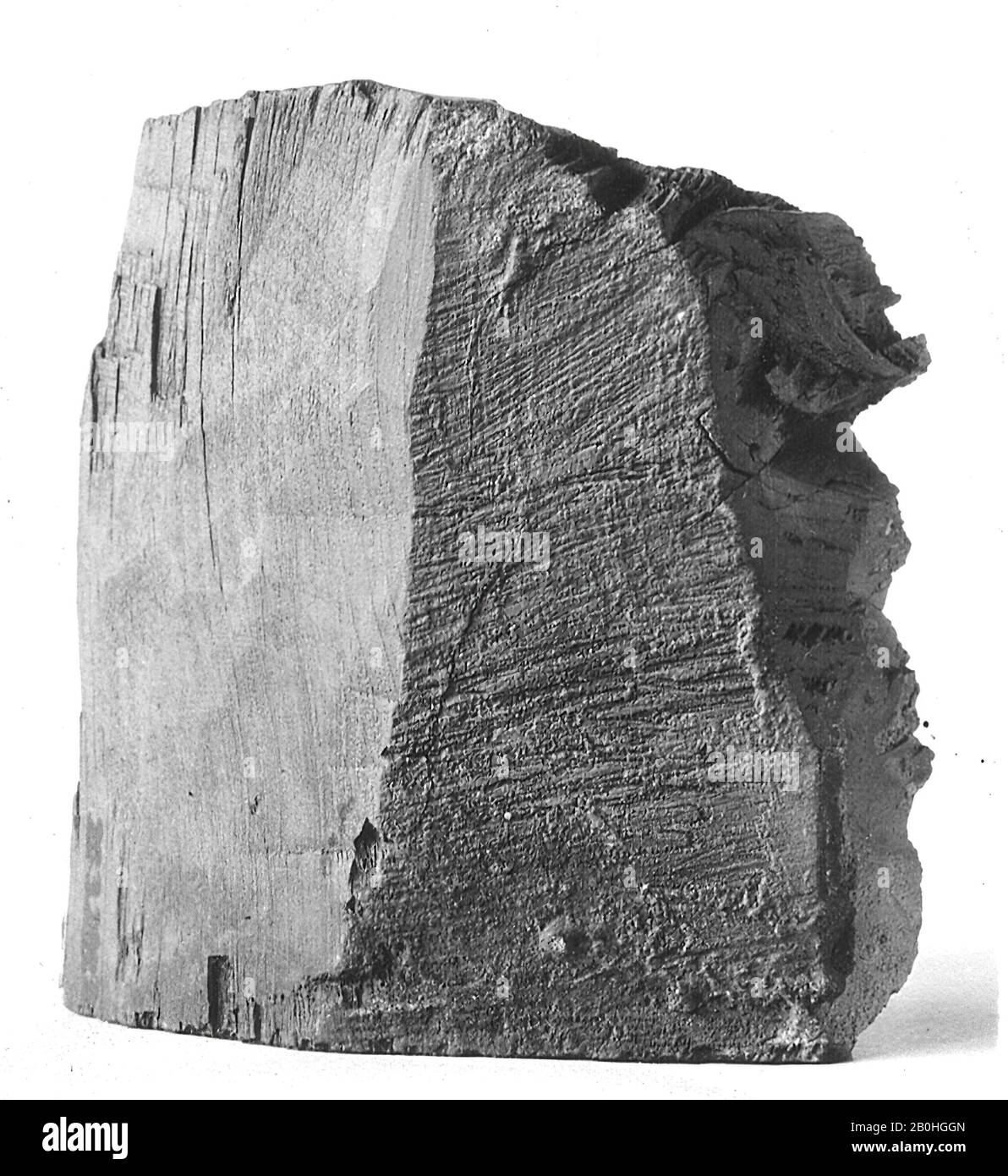 Knob Fragment from Wah's Coffin, Middle Kingdom, Dynasty 12, reign of Amenemhat I, early, ca. 1981–1975 B.C., From Egypt, Upper Egypt, Thebes, Southern Asasif, Tomb of Wah, 1920, Coniferous wood (spruce, cedar?), plaster, l. 8.2 cm (3 1/4 in); w. 7.2 cm (2 13/16 in); h. 2 cm (13/16 in Stock Photo
